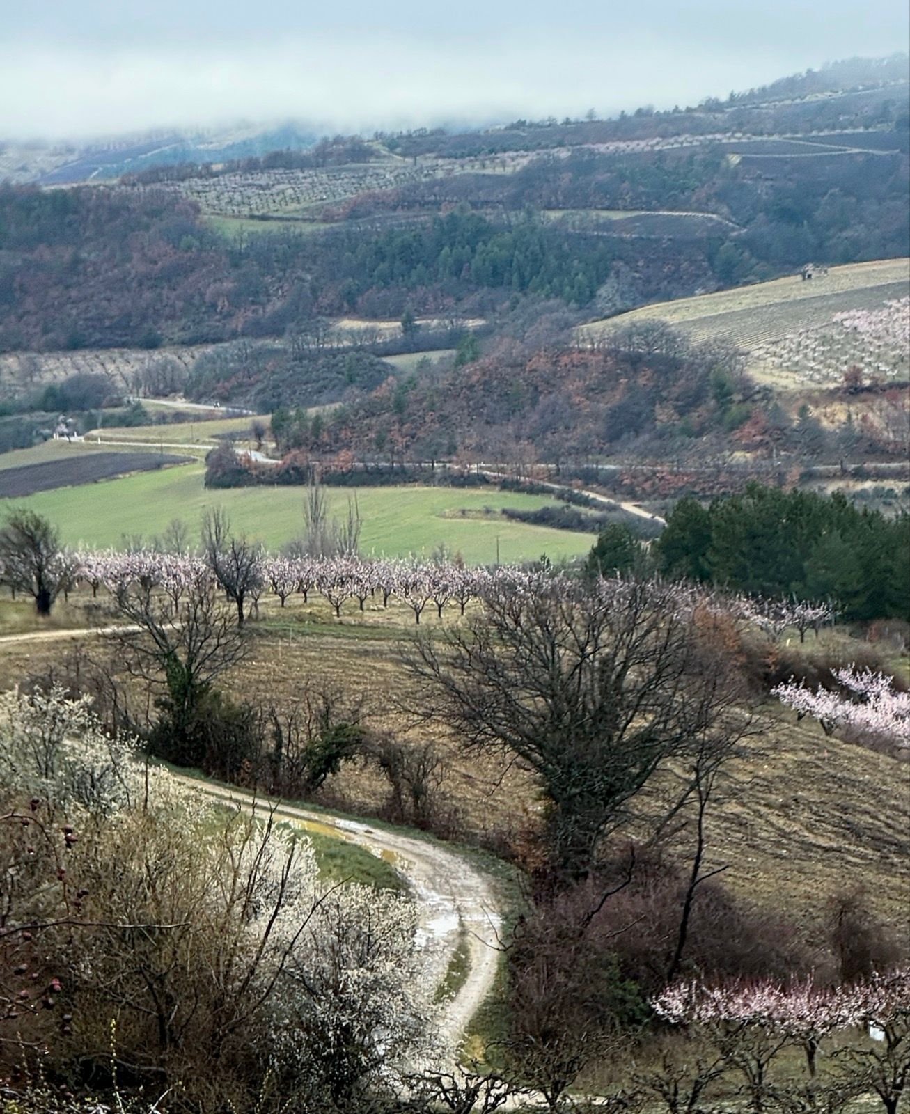 Full size image for Les Indochinois 200km