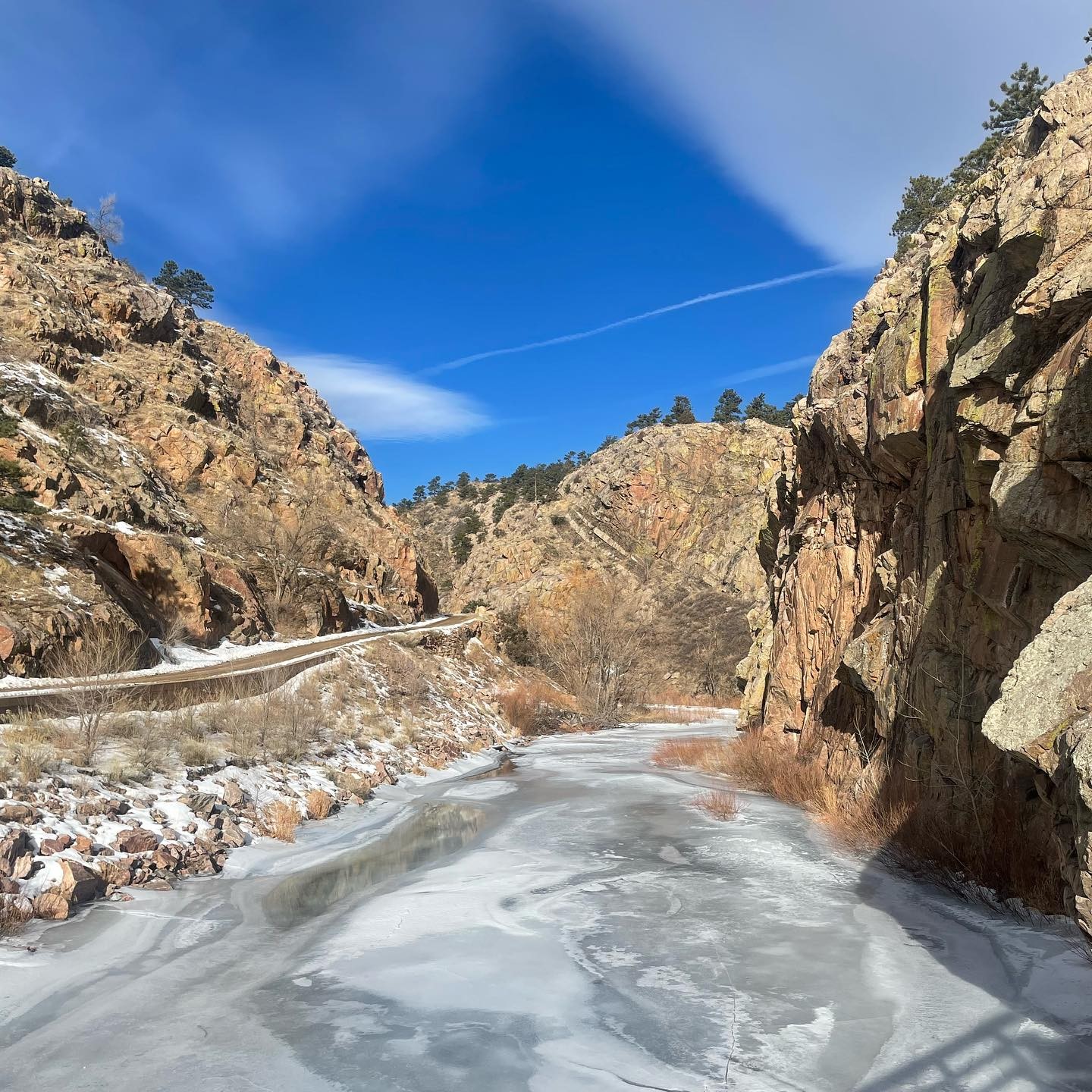 Full size image for Tue Jan 18 2022