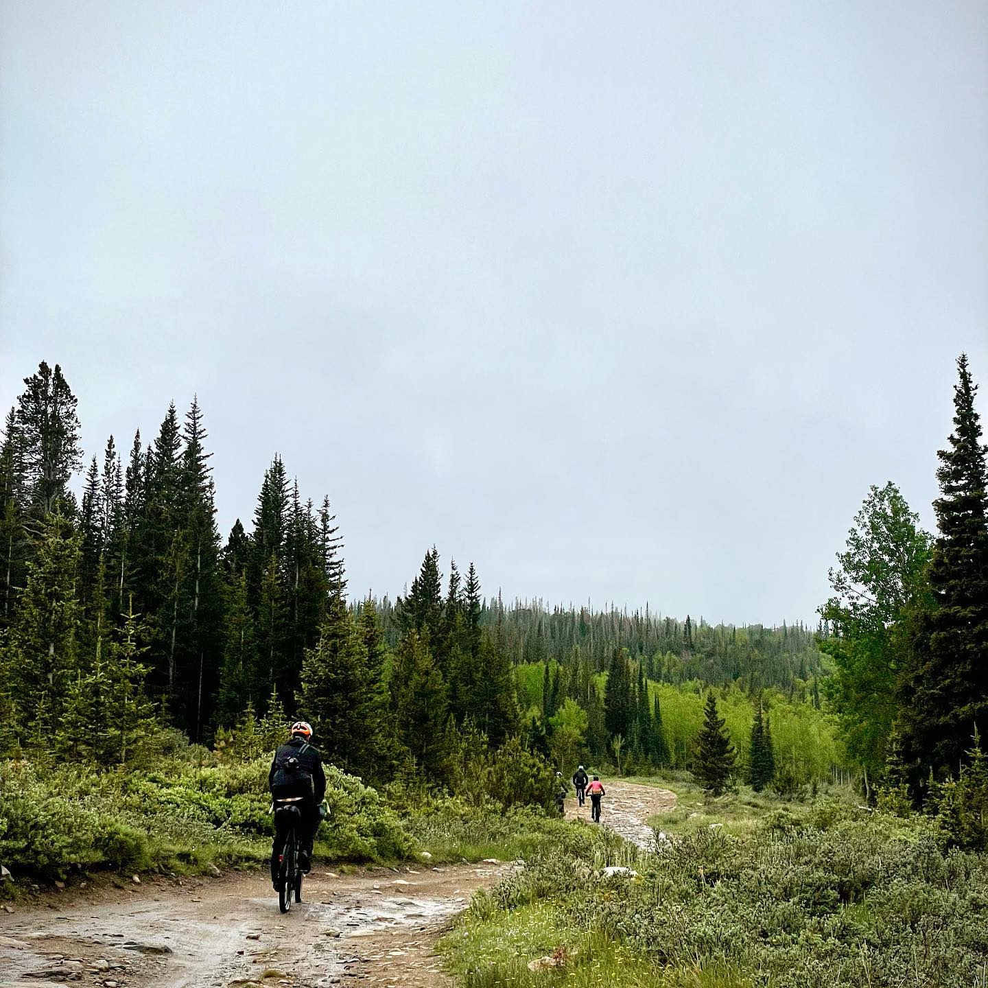 Full size image for Community Cycles bike camping