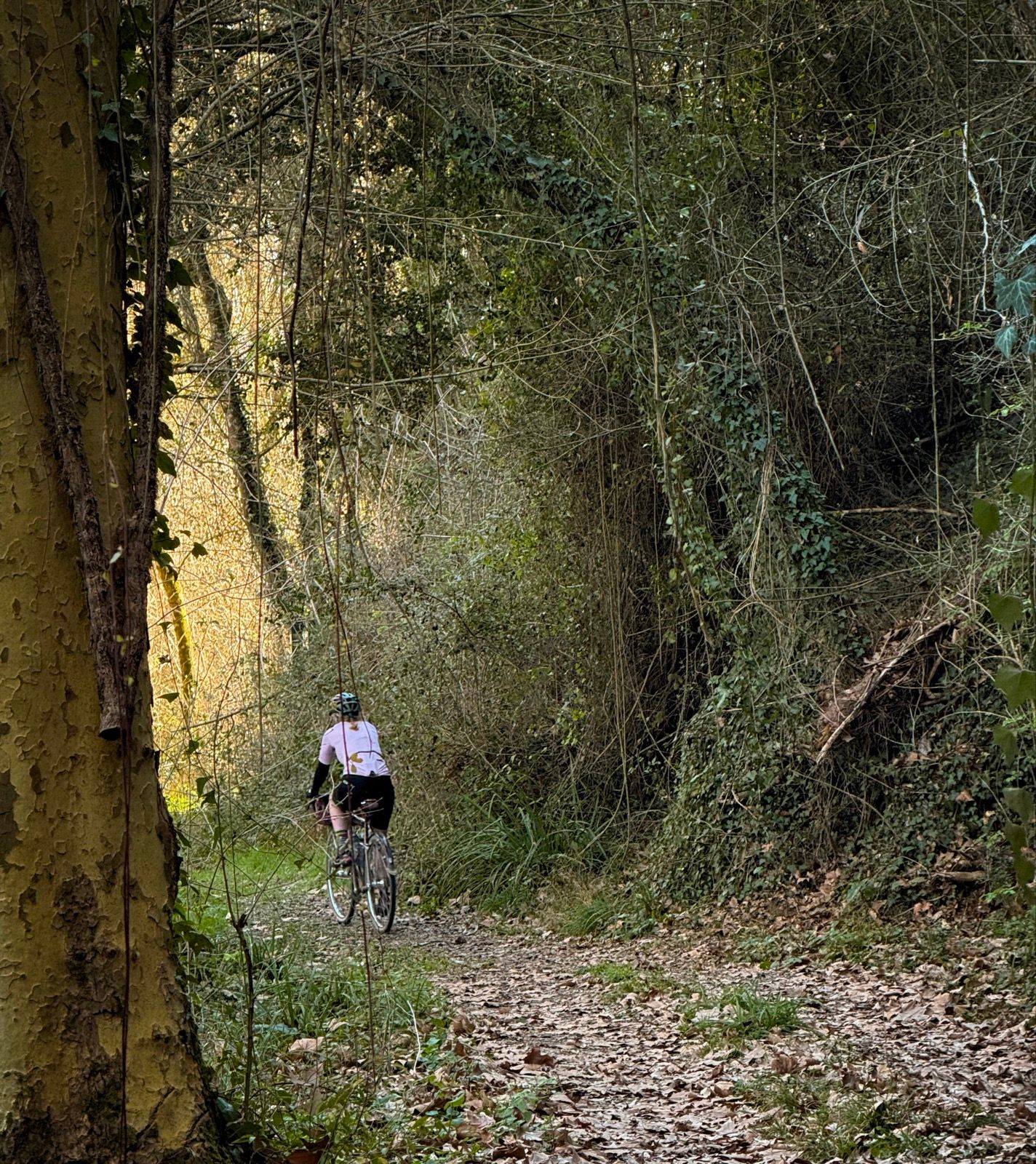 Full size image for Rocacorba. Banyoles. Side of gravel