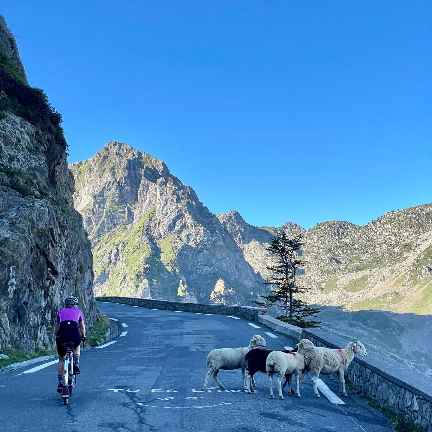 Full size image for Col du Tourmalet