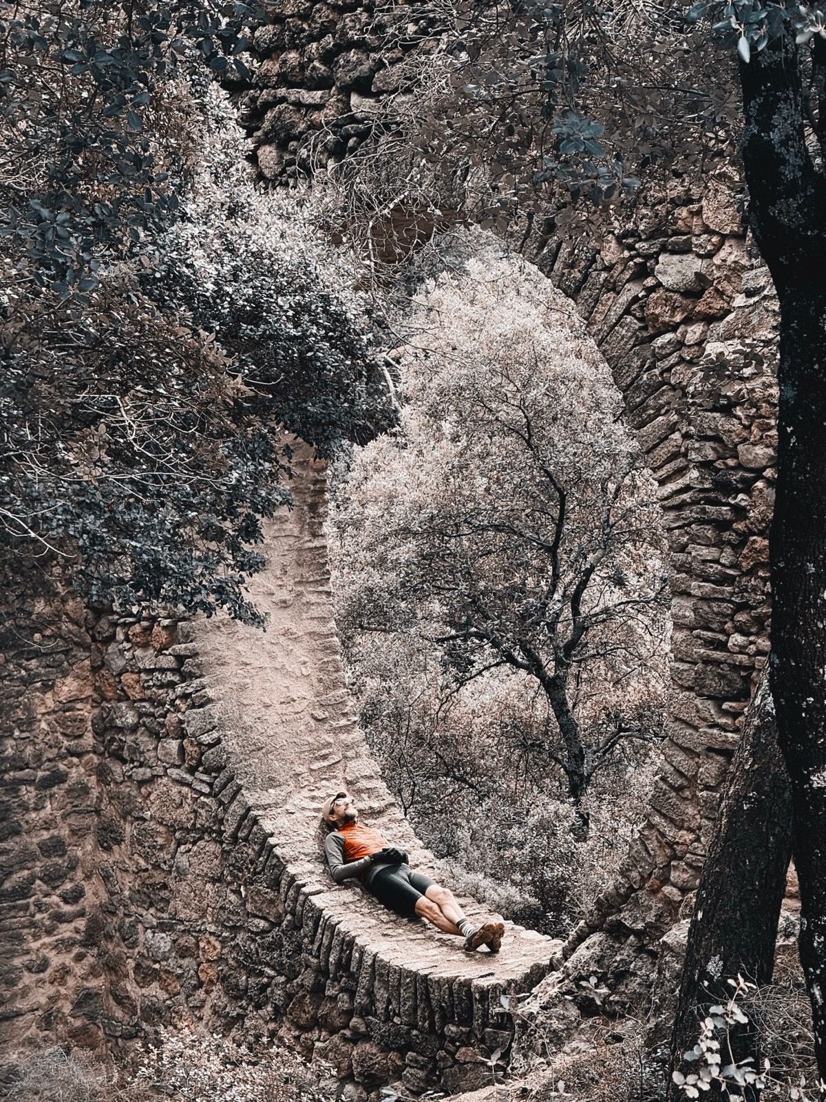 Full size image for Suzette Loop.