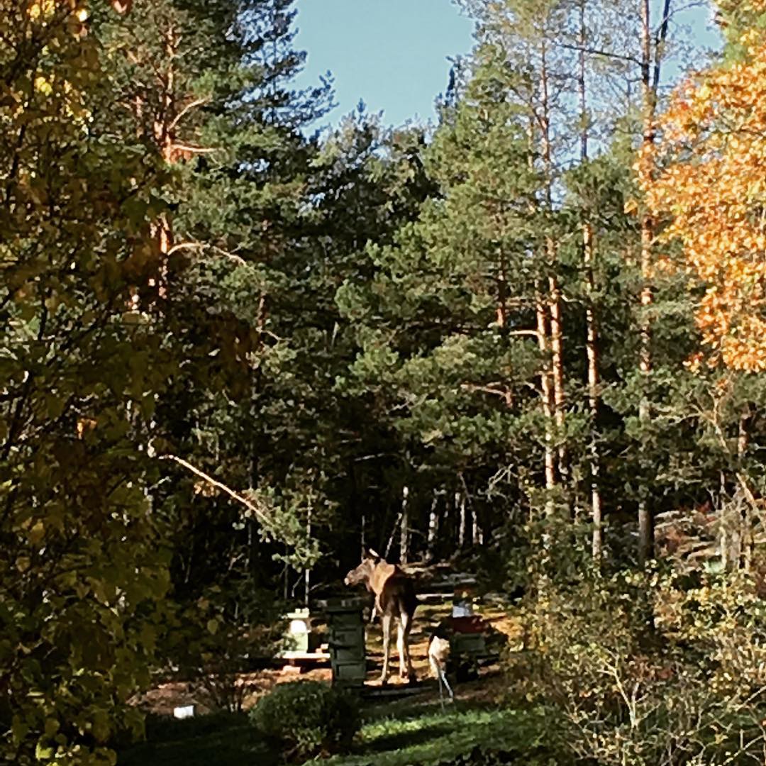 Full size image for Fri Oct 26 2018