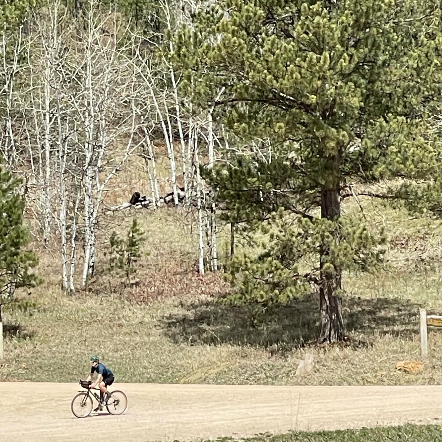 Full size image for Black Hills Scenery Near Spearfish