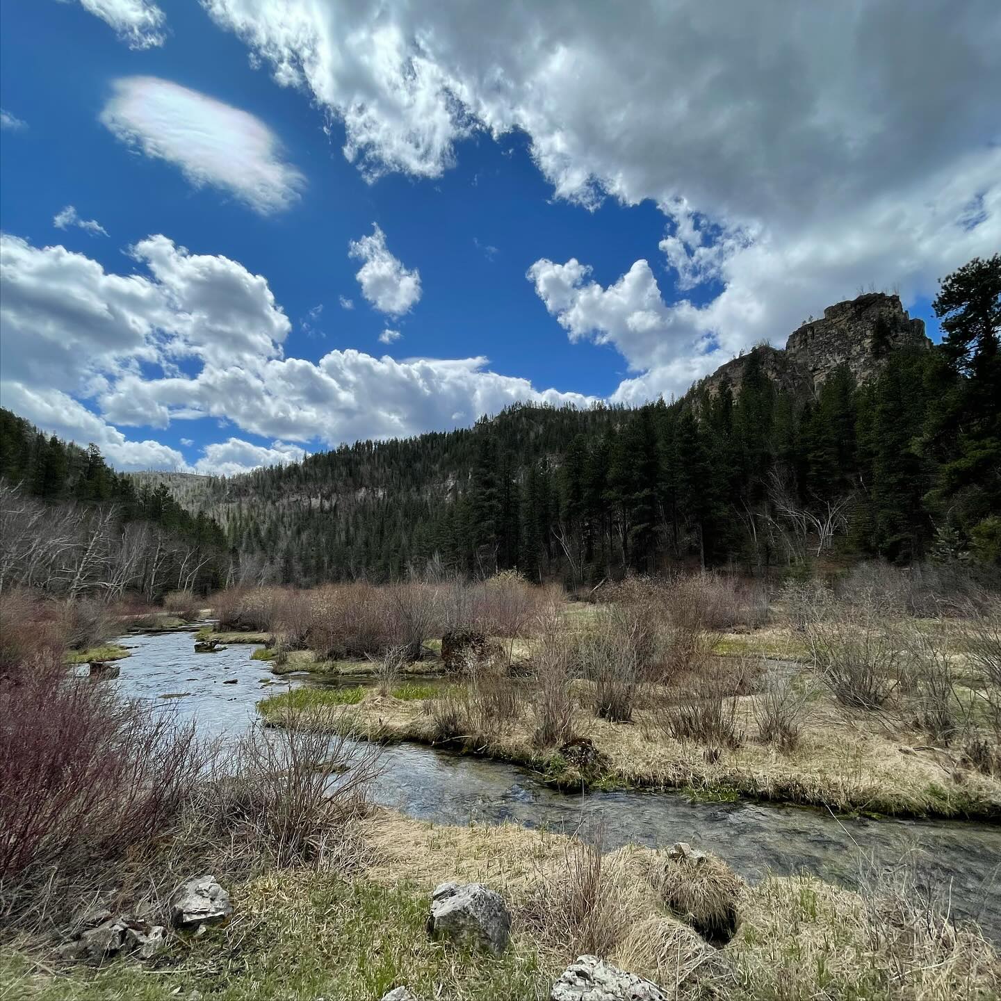 Full size image for Black Hills Scenery Near Spearfish