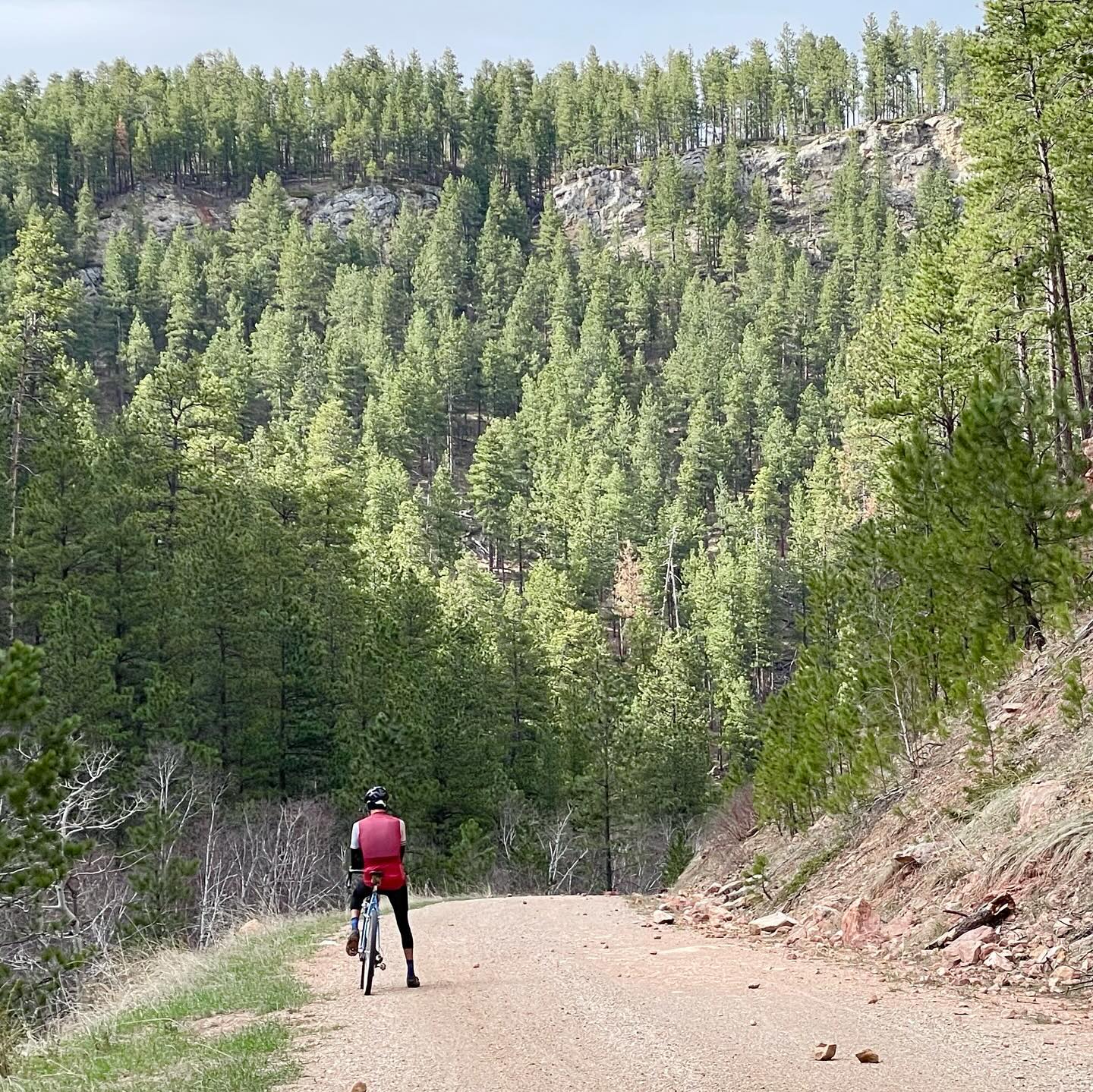 Full size image for Black Hills Scenery Near Spearfish