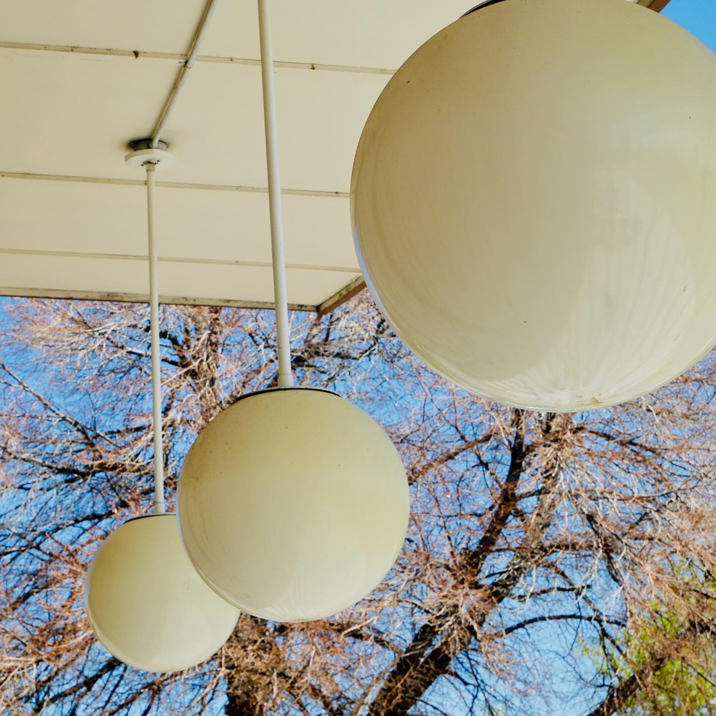 Full size image for Spring Day in City Park