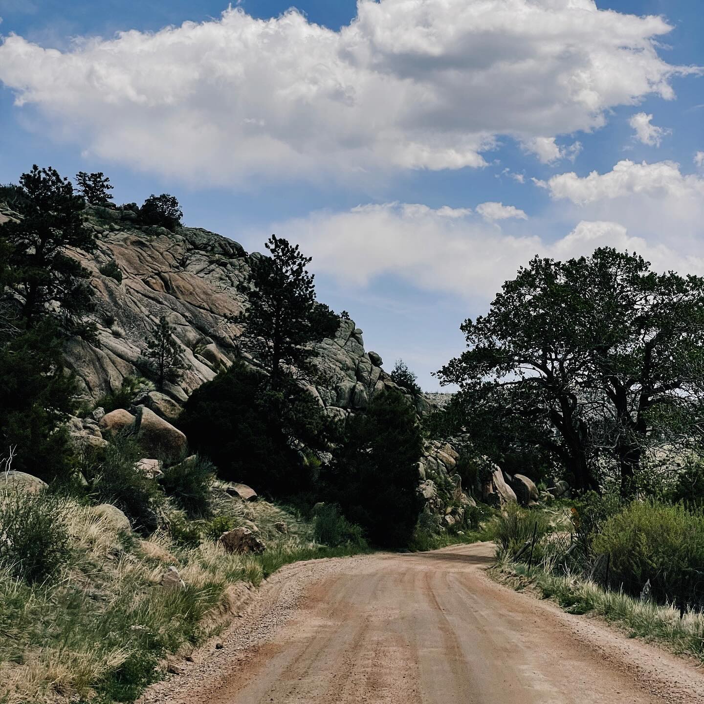 Full size image for Riding 82E Near Red Feather Lakes