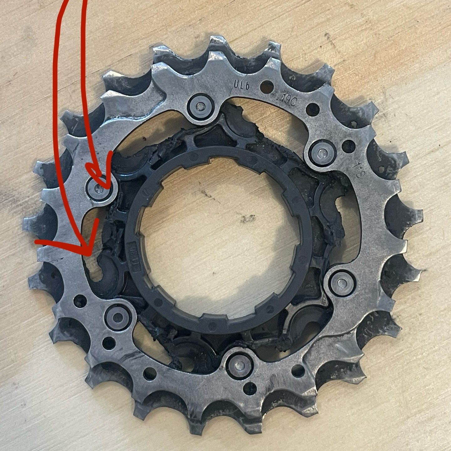 Full size image for Ultegra Cassette Mishap on the 1000k