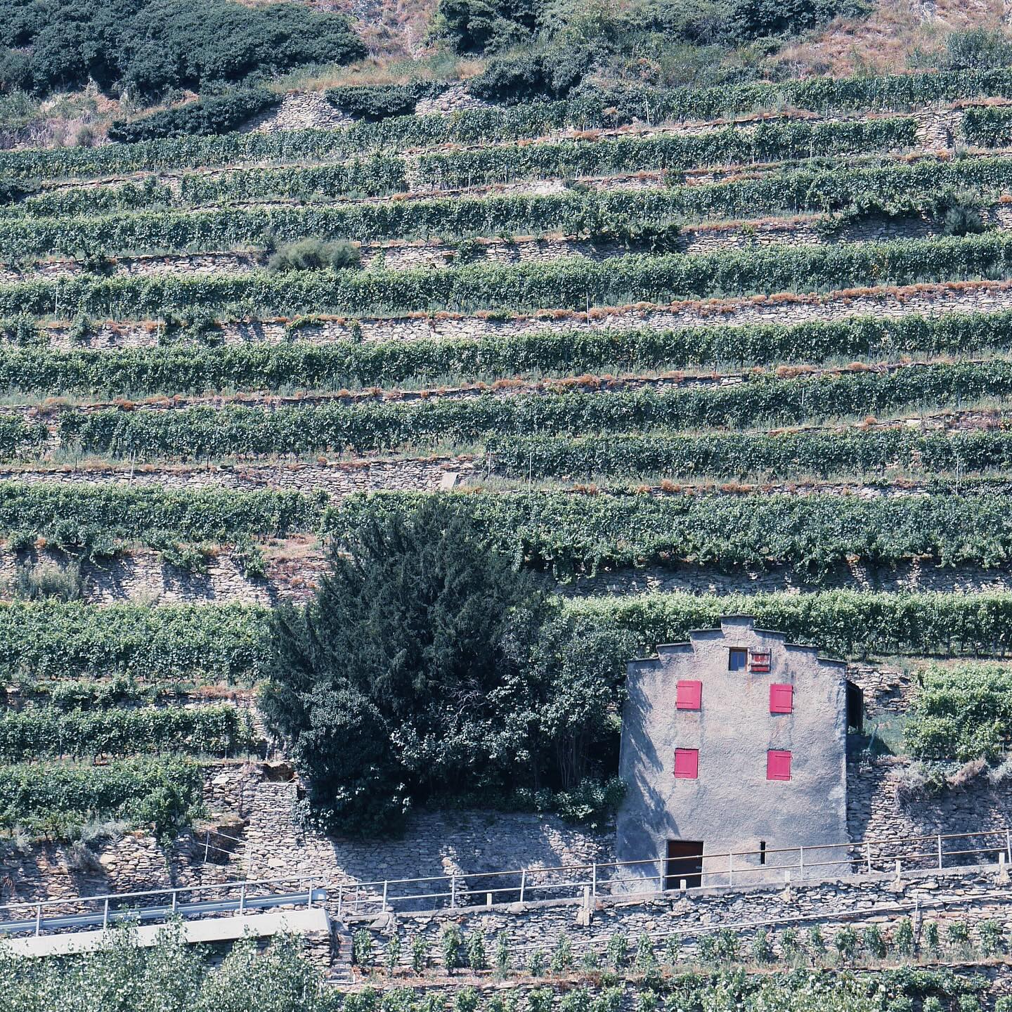 Full size image for Through Switzerland and into France