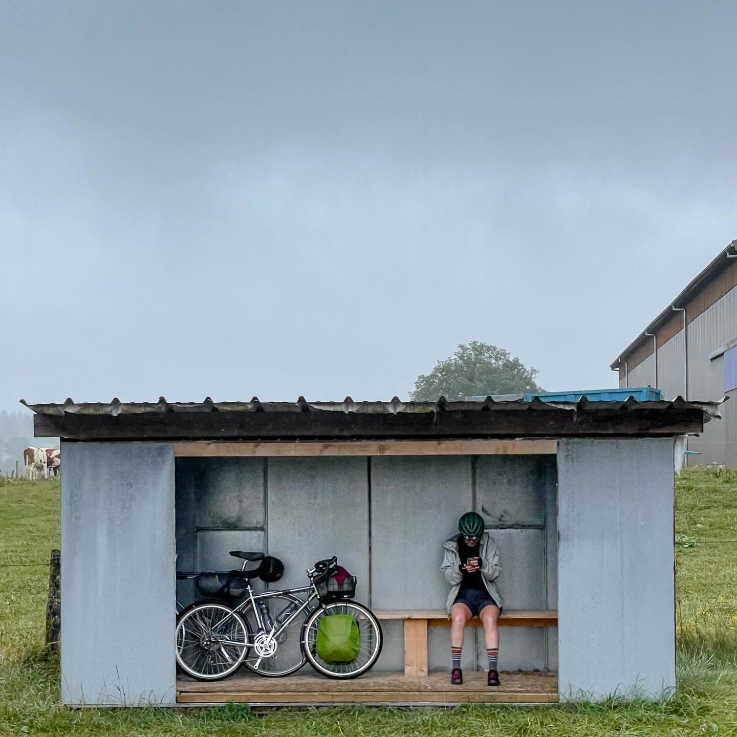 Full size image for Train in Rain