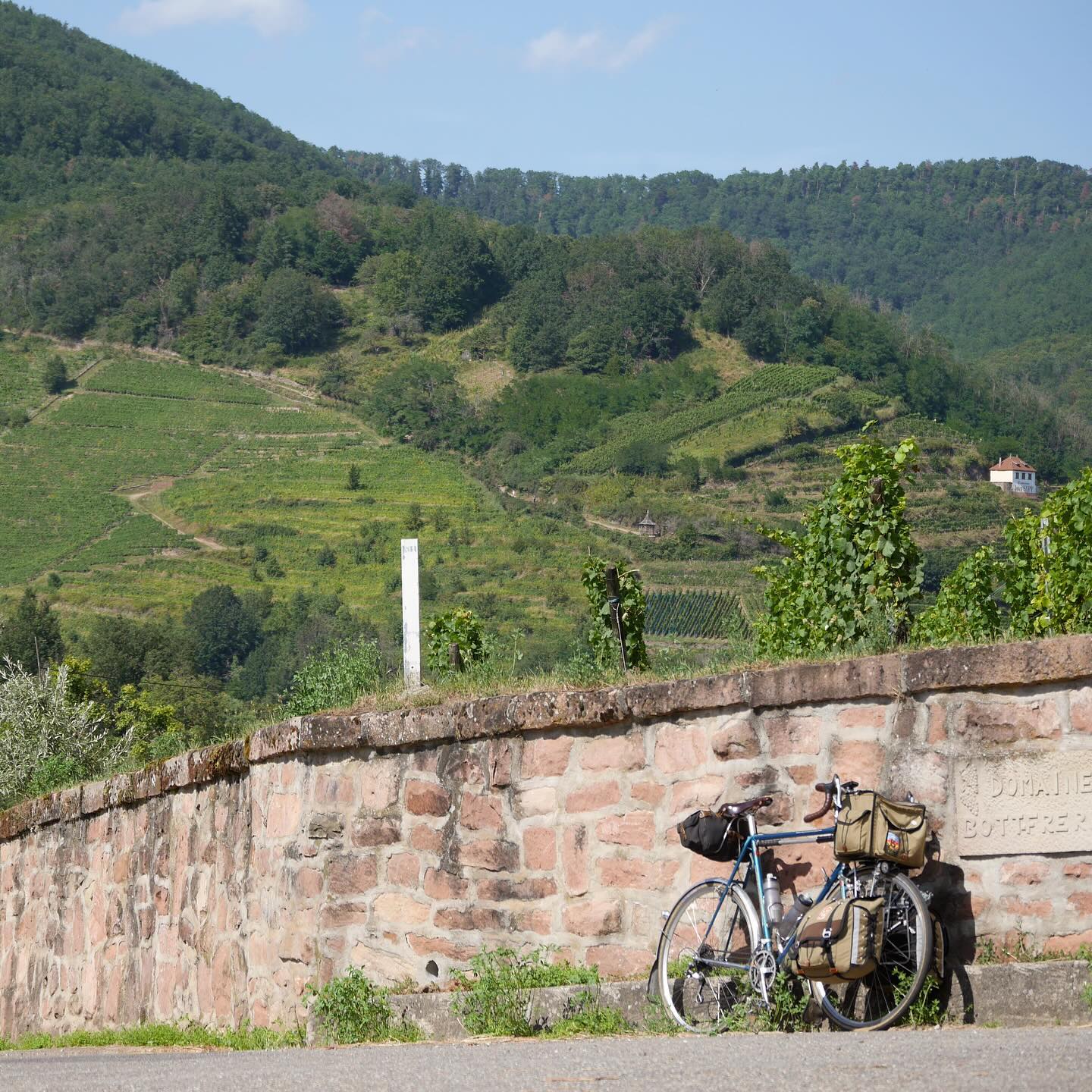 Full size image for Alsace