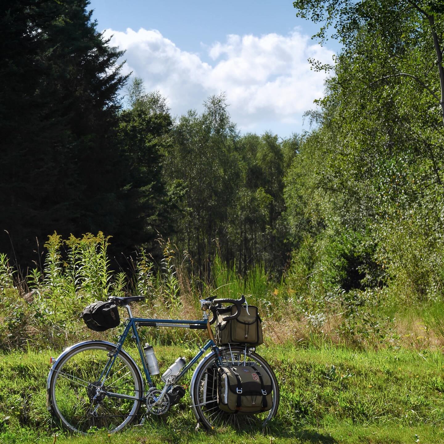 Full size image for Into the Vosges
