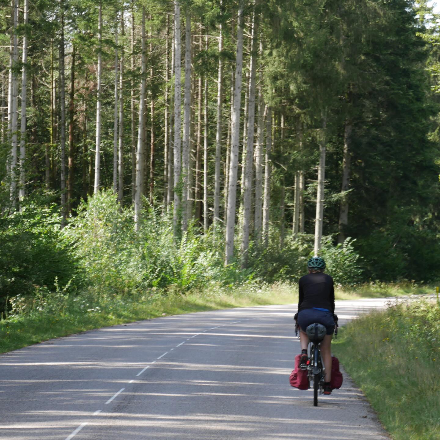 Full size image for Into the Vosges