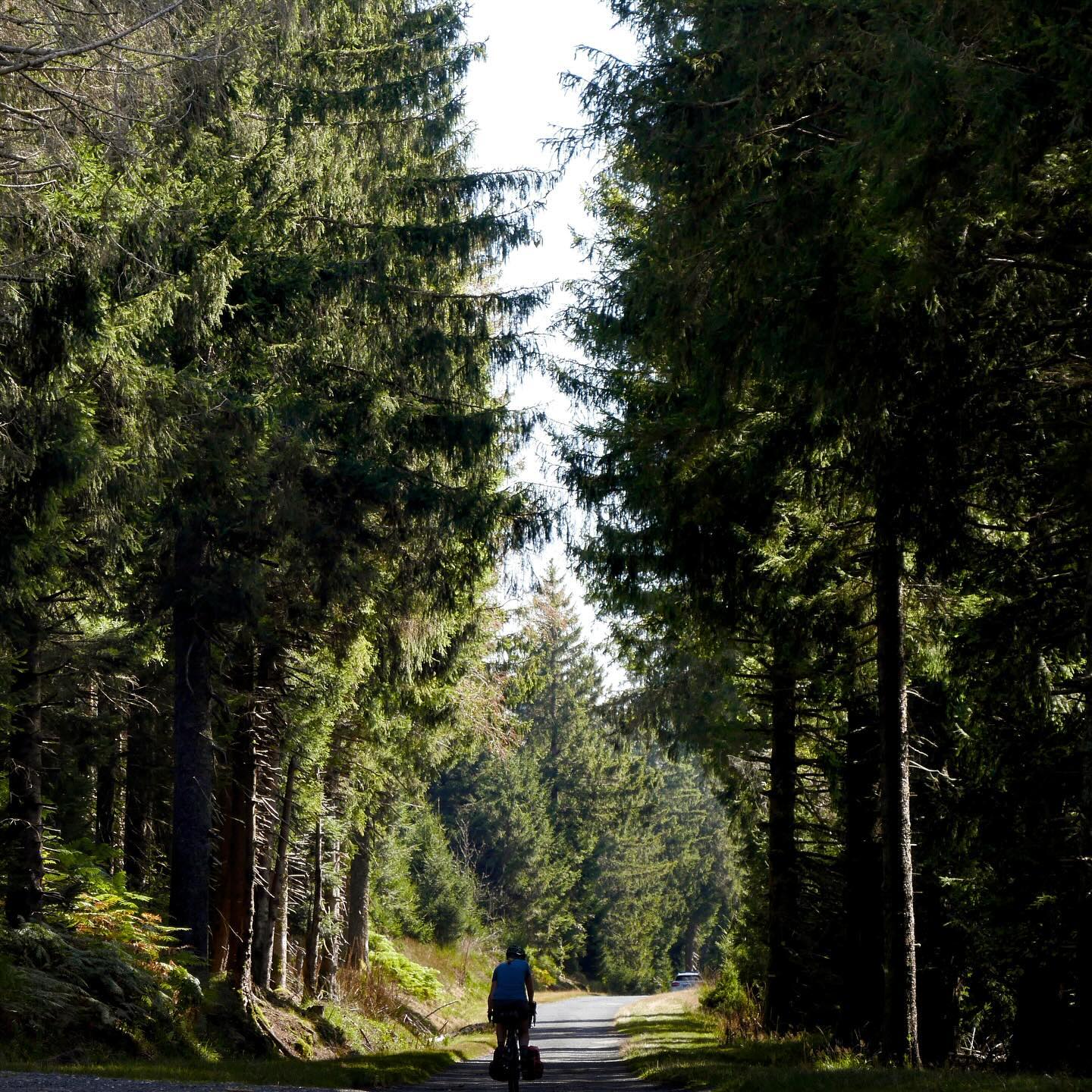 Full size image for Les Vosges