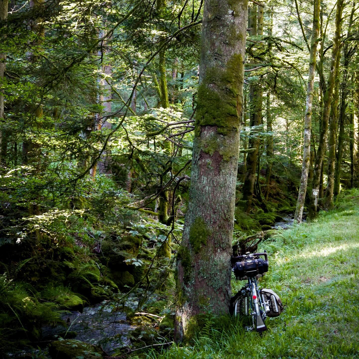 Full size image for Les Vosges