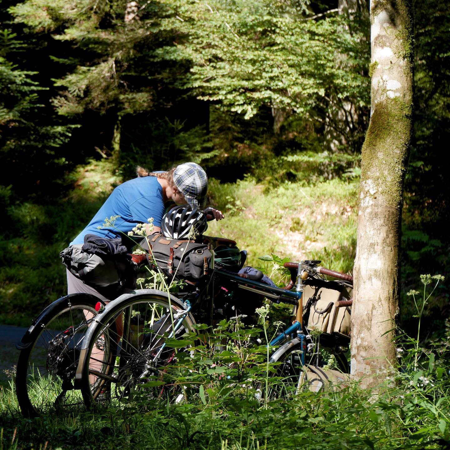 Full size image for Les Vosges