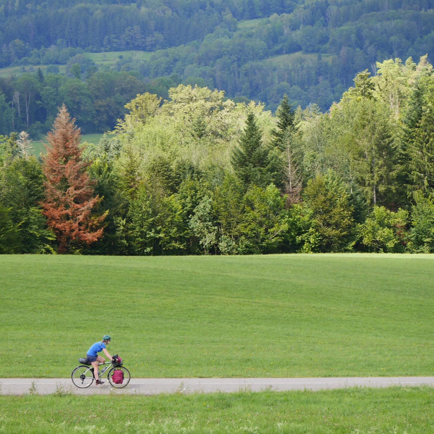 Full size image for Into the Vosges
