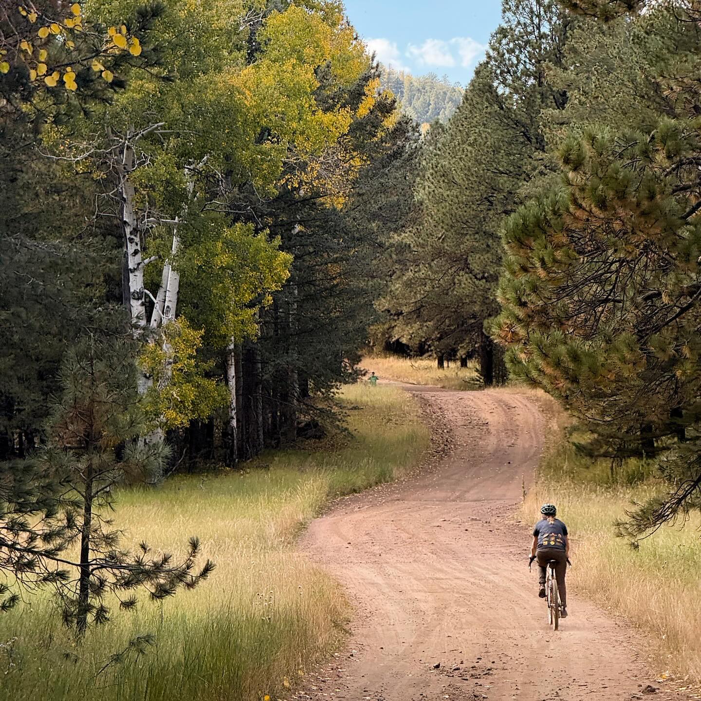 Full size image for Flagstaff dirt