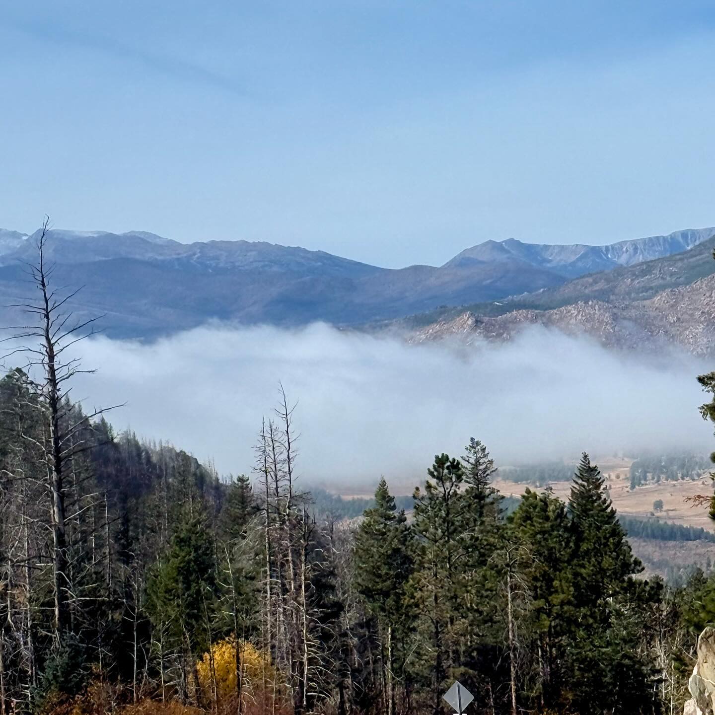 Full size image for The inversion.