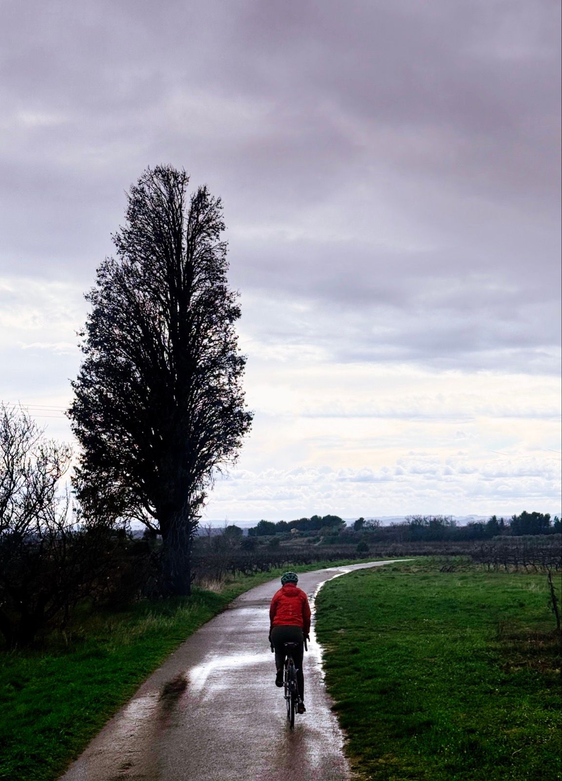 Full size image for Rainy