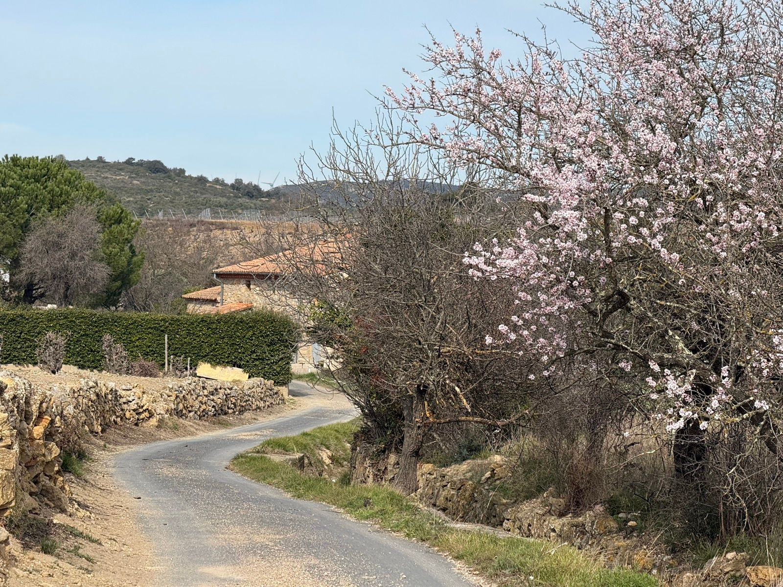 Full size image for Day 3. Perpignan to Narbonne