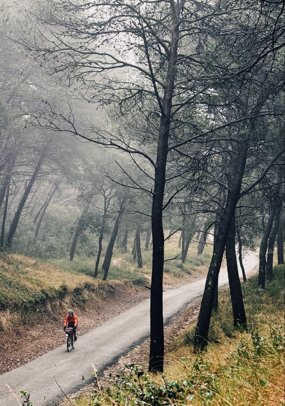 Full size image for Day 9. Aix to Carpentras. Bonus round.
