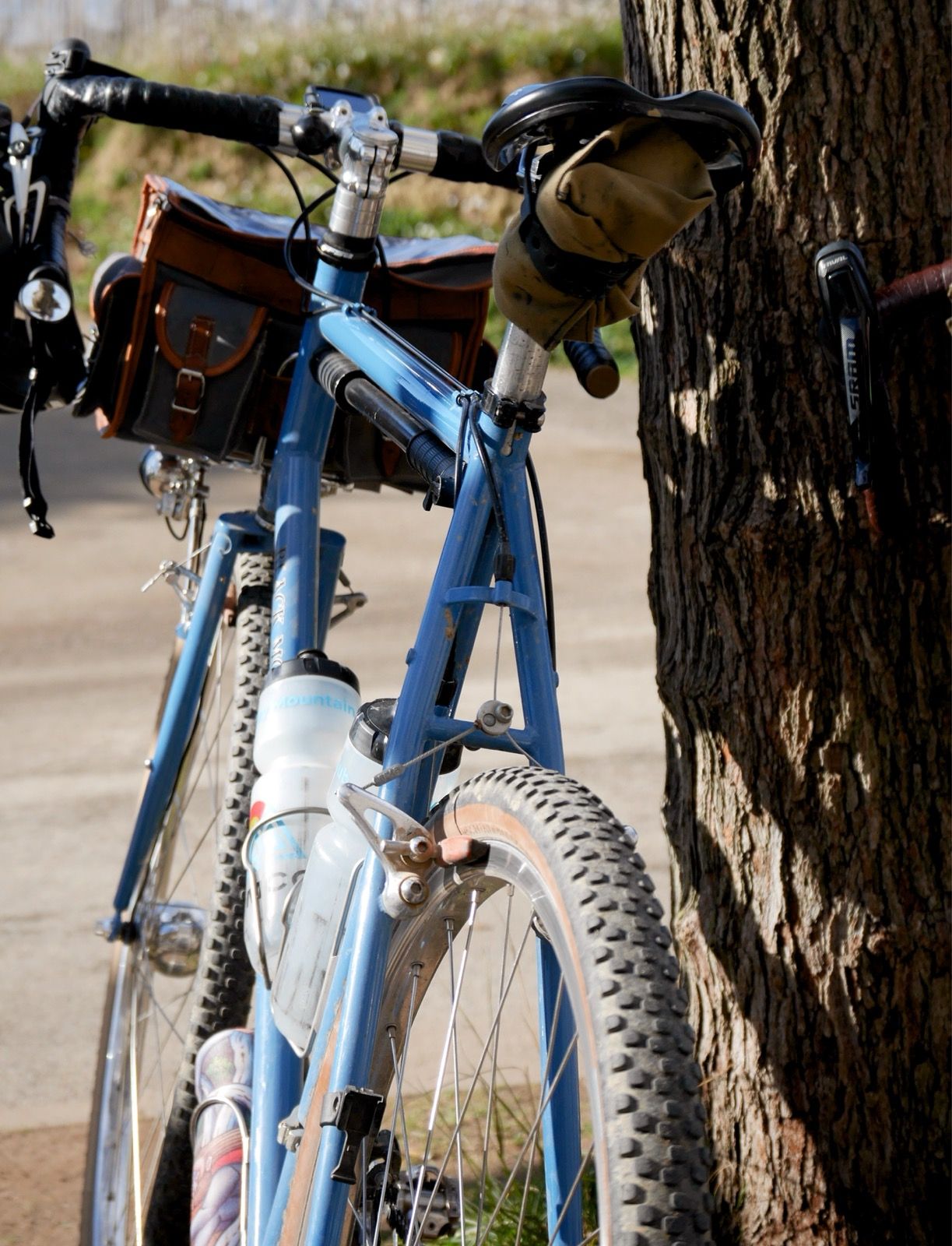 Full size image for Santa Pellaia loop