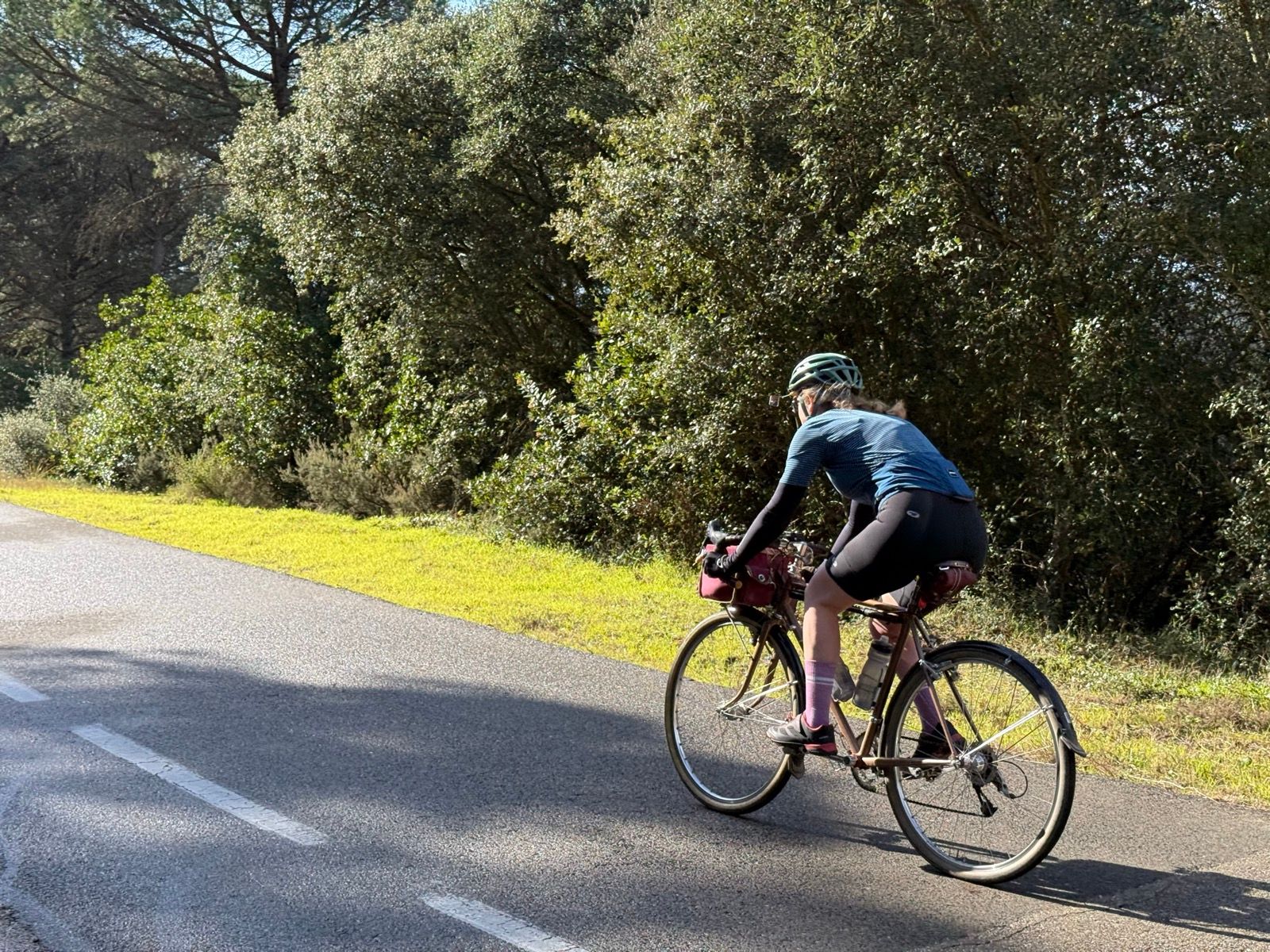 Full size image for Santa Pellaia loop