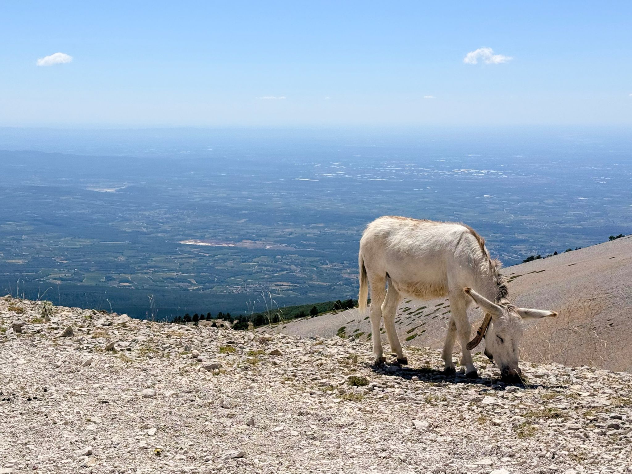 Full size image for Gorges de la Nesque to Sault & Ventoux