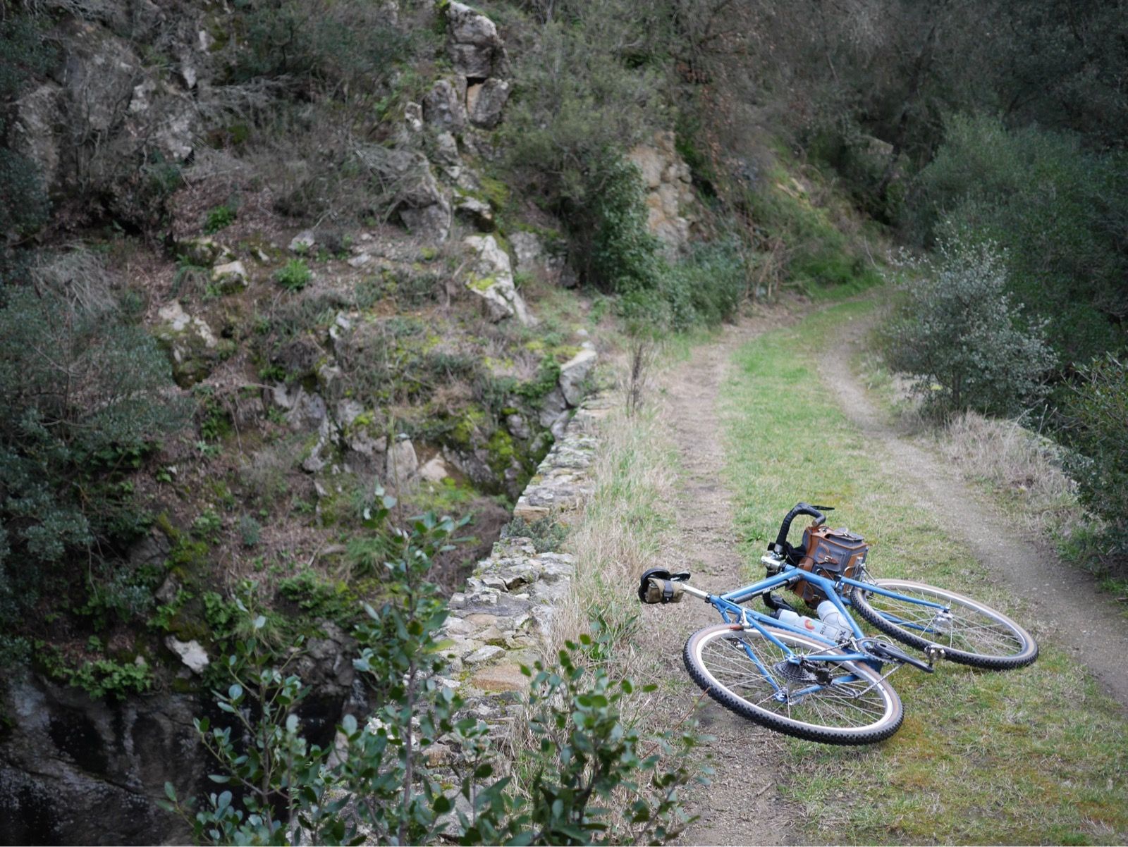 Full size image for Last time up the canyon