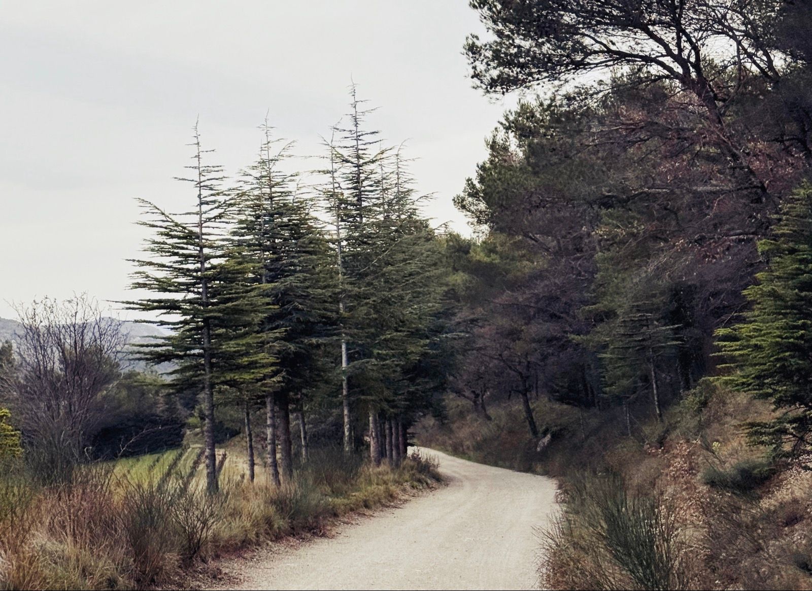 Full size image for Dirt deviation Les Dentelles de Montmirail.