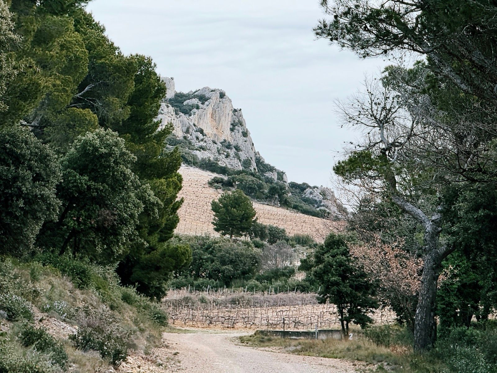 Full size image for Dirt deviation Les Dentelles de Montmirail.