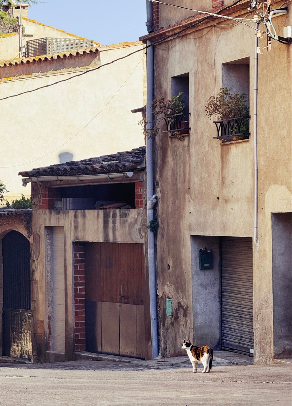 Full size image for La Pera, Montenegre
