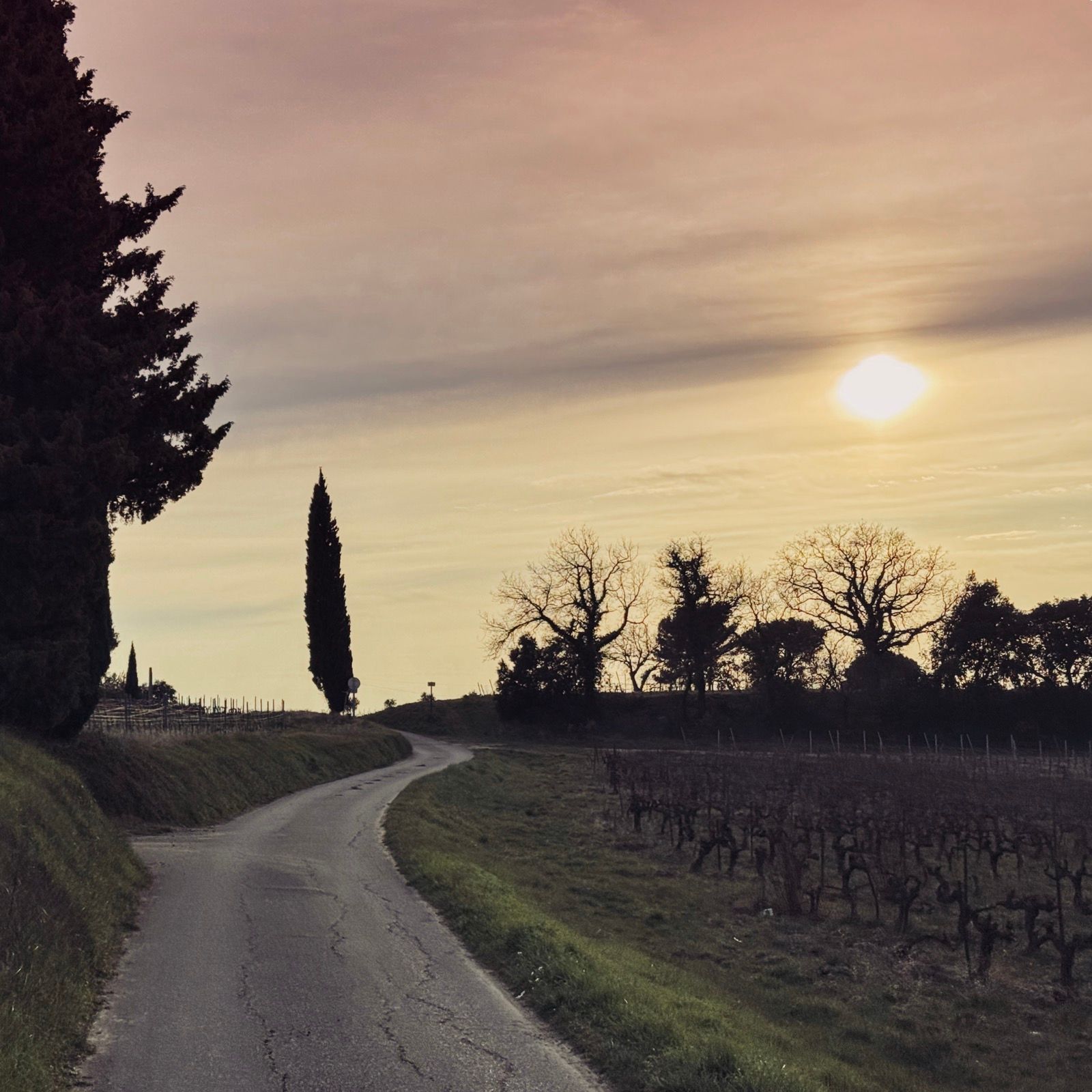Full size image for North of Ventoux