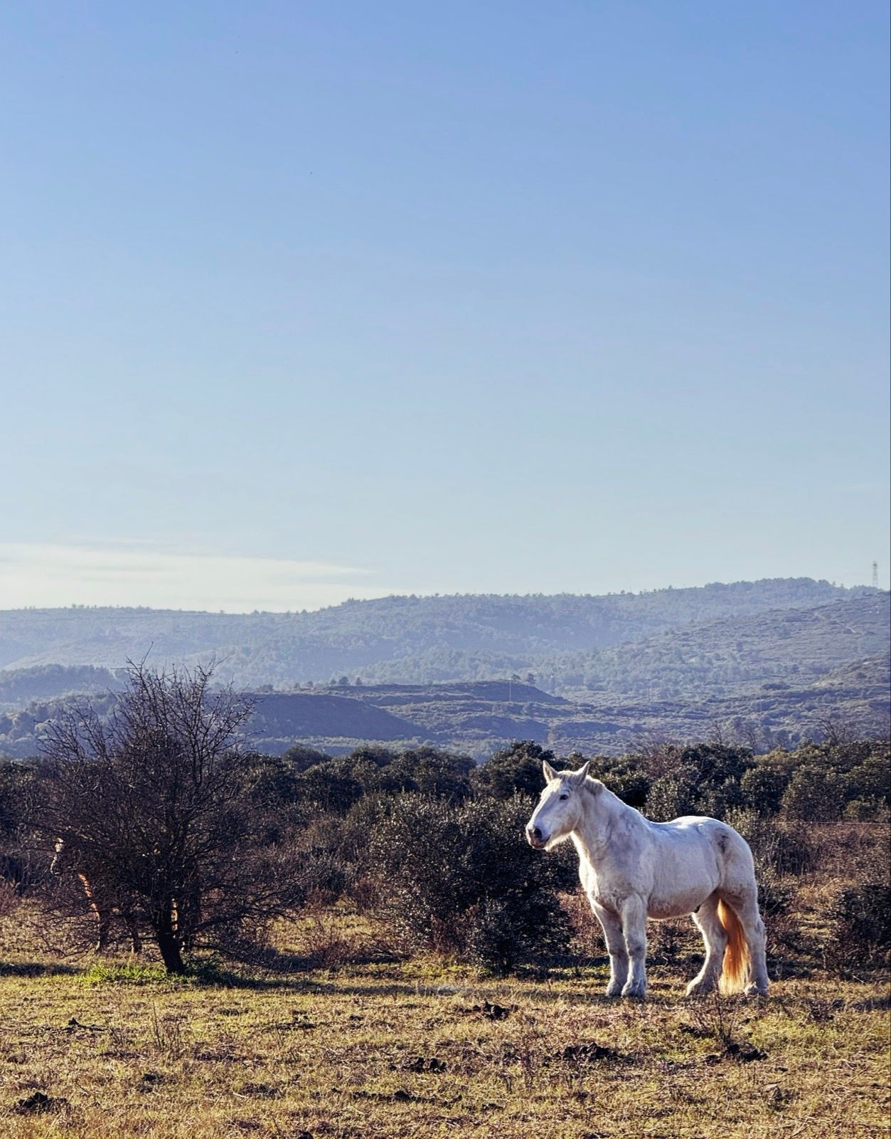 Full size image for Day 3. Perpignan to Narbonne