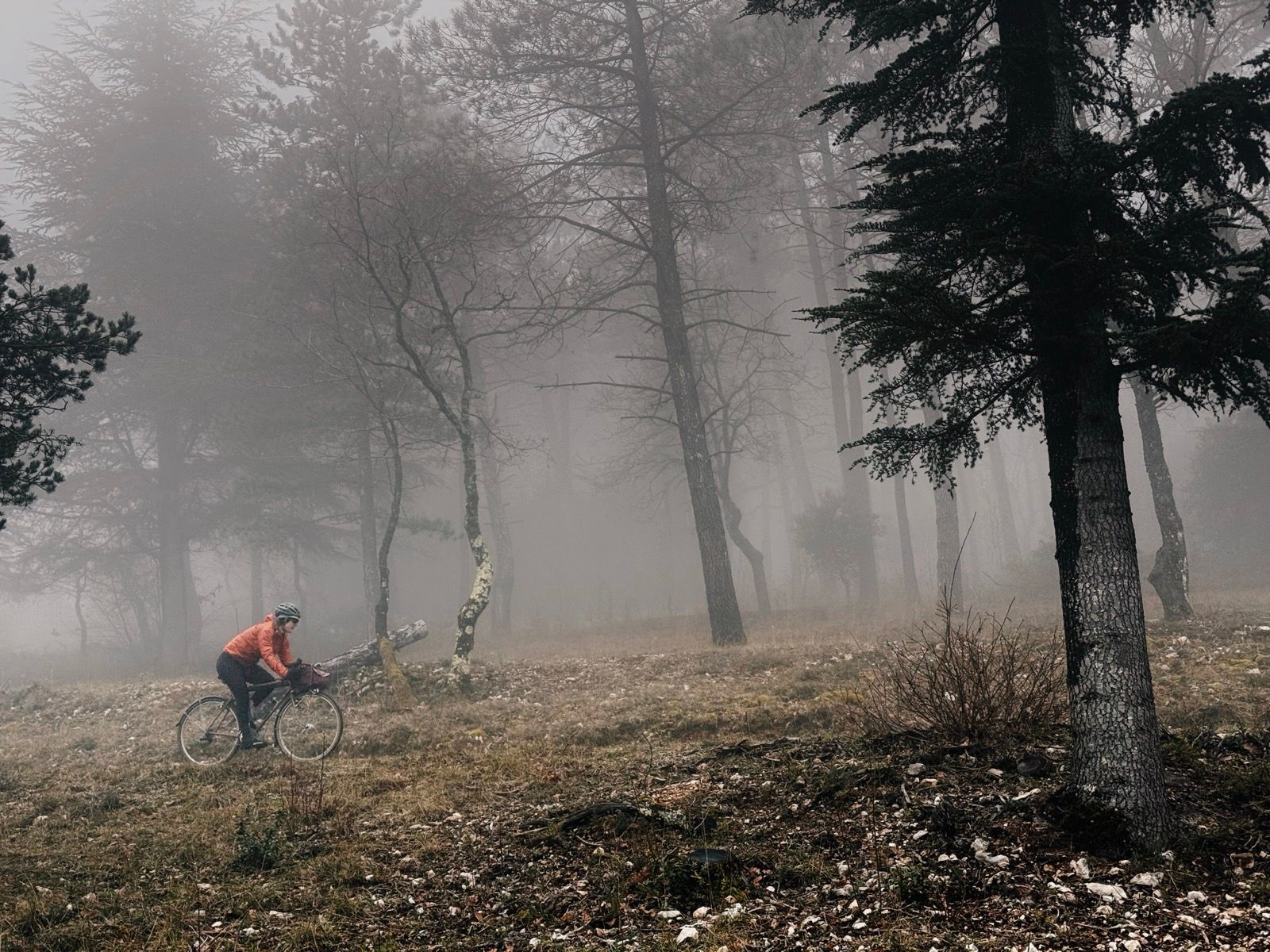 Full size image for Les Indochinois 200km