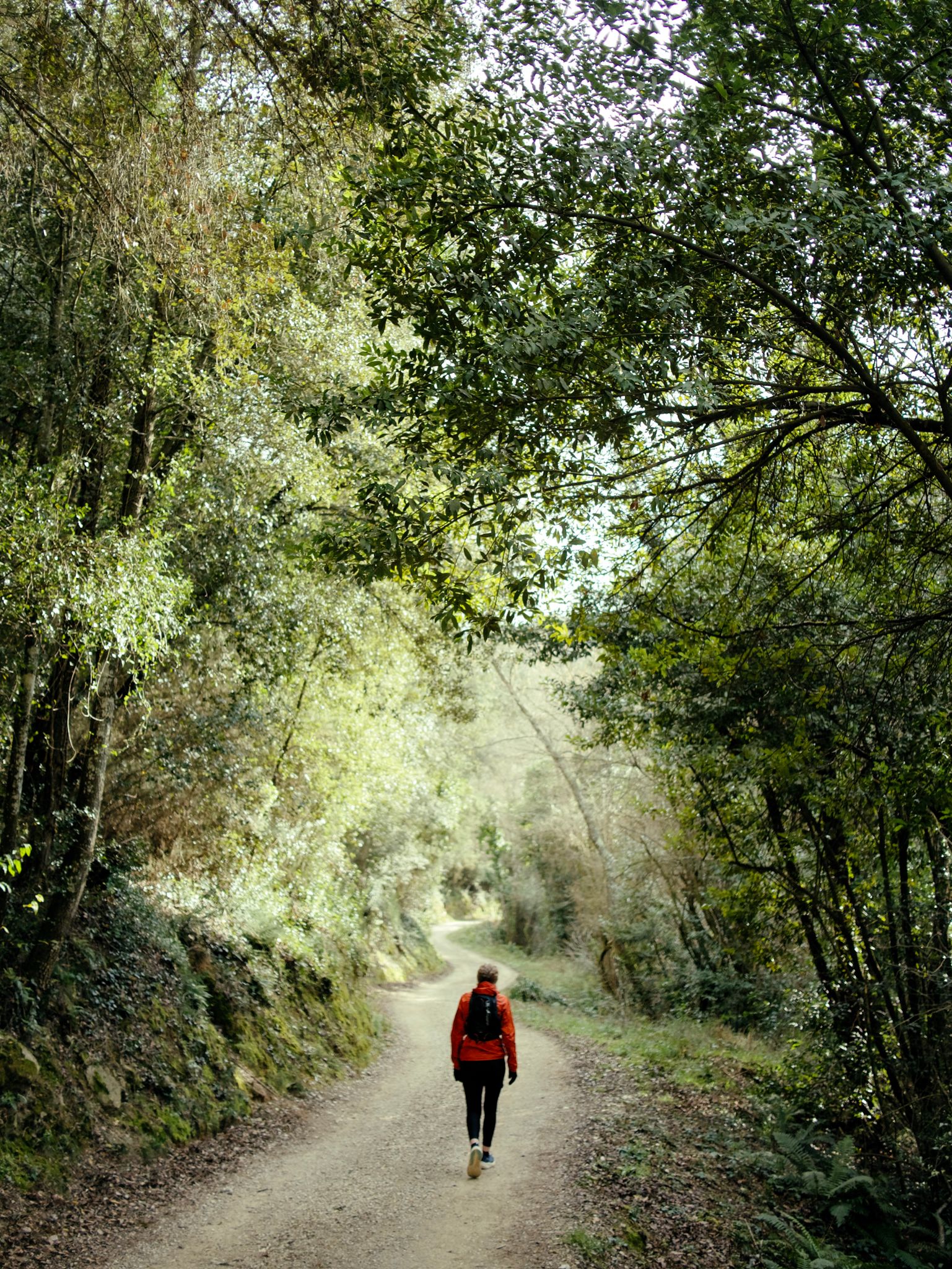 Full size image for Walk on out of town