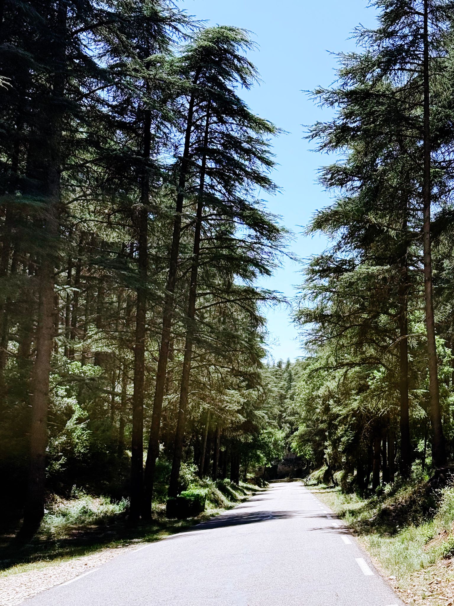 Full size image for Gorges de la Nesque to Sault & Ventoux