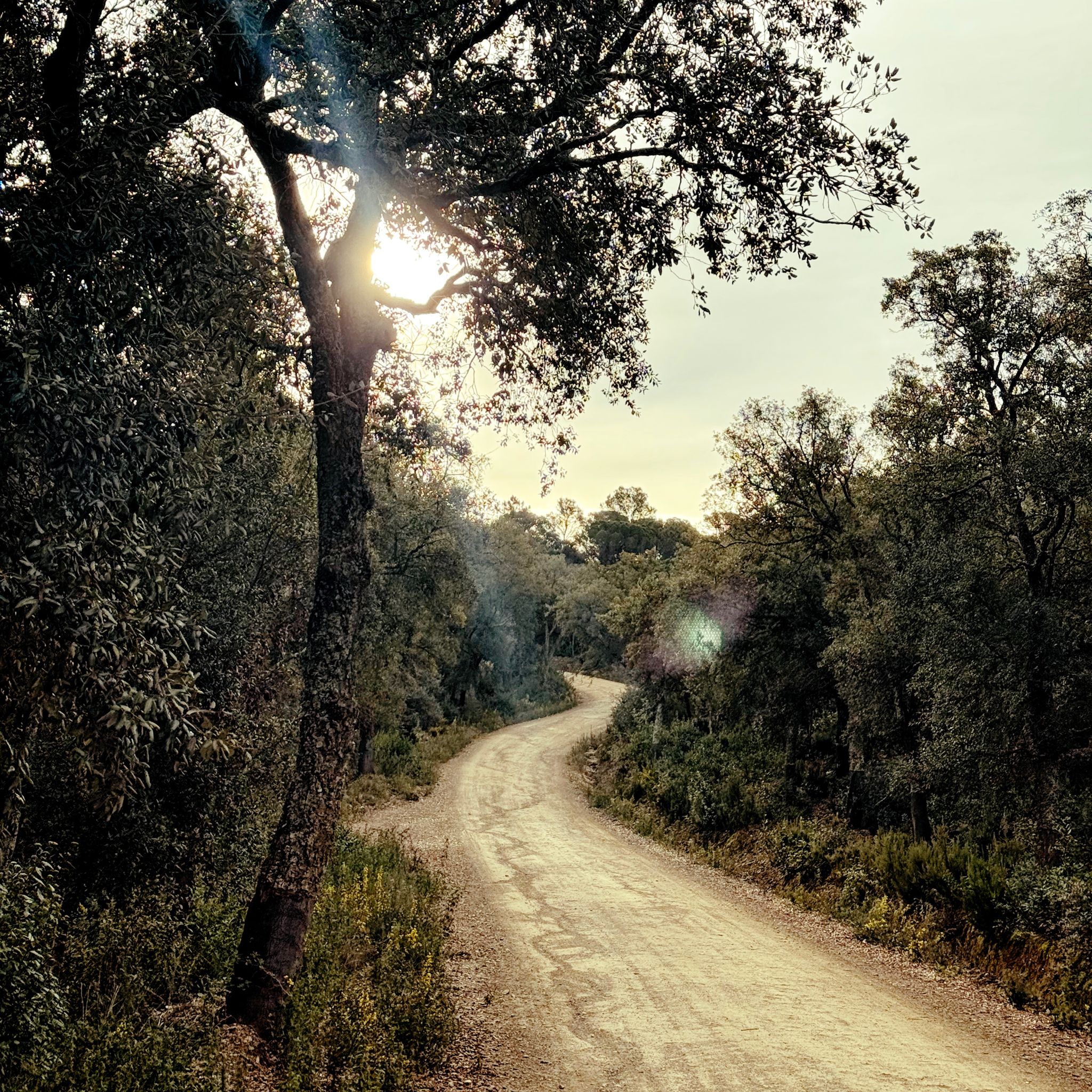 Full size image for Gravel scouting