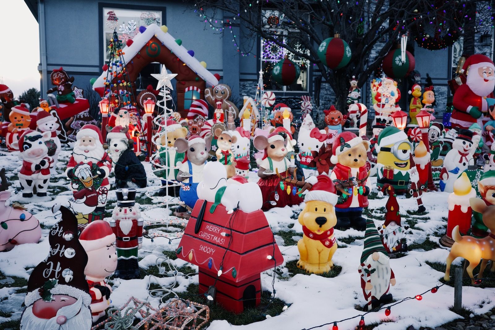 Preview image for Roggen 200km