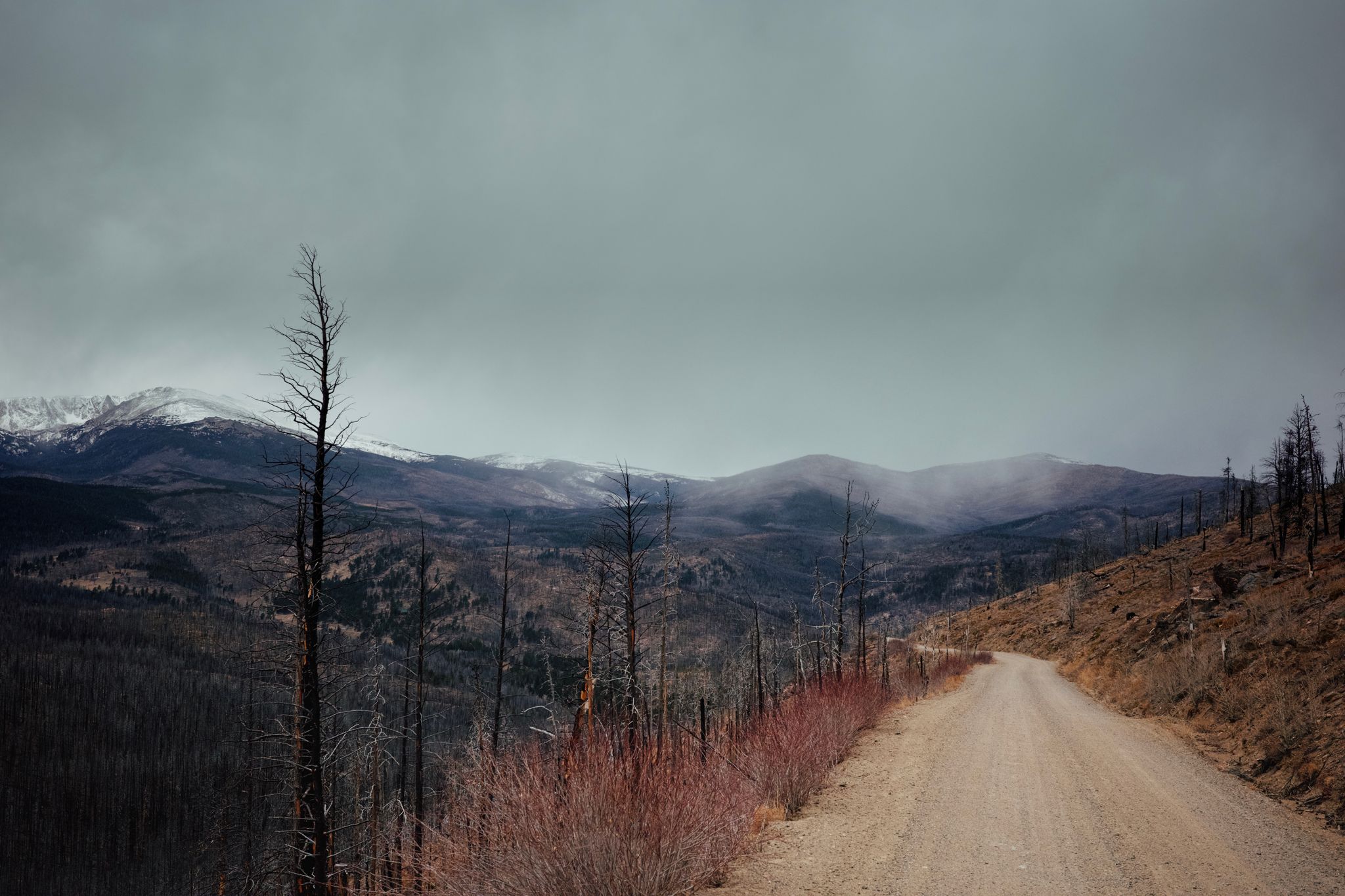 Full size image for It snowed a bit