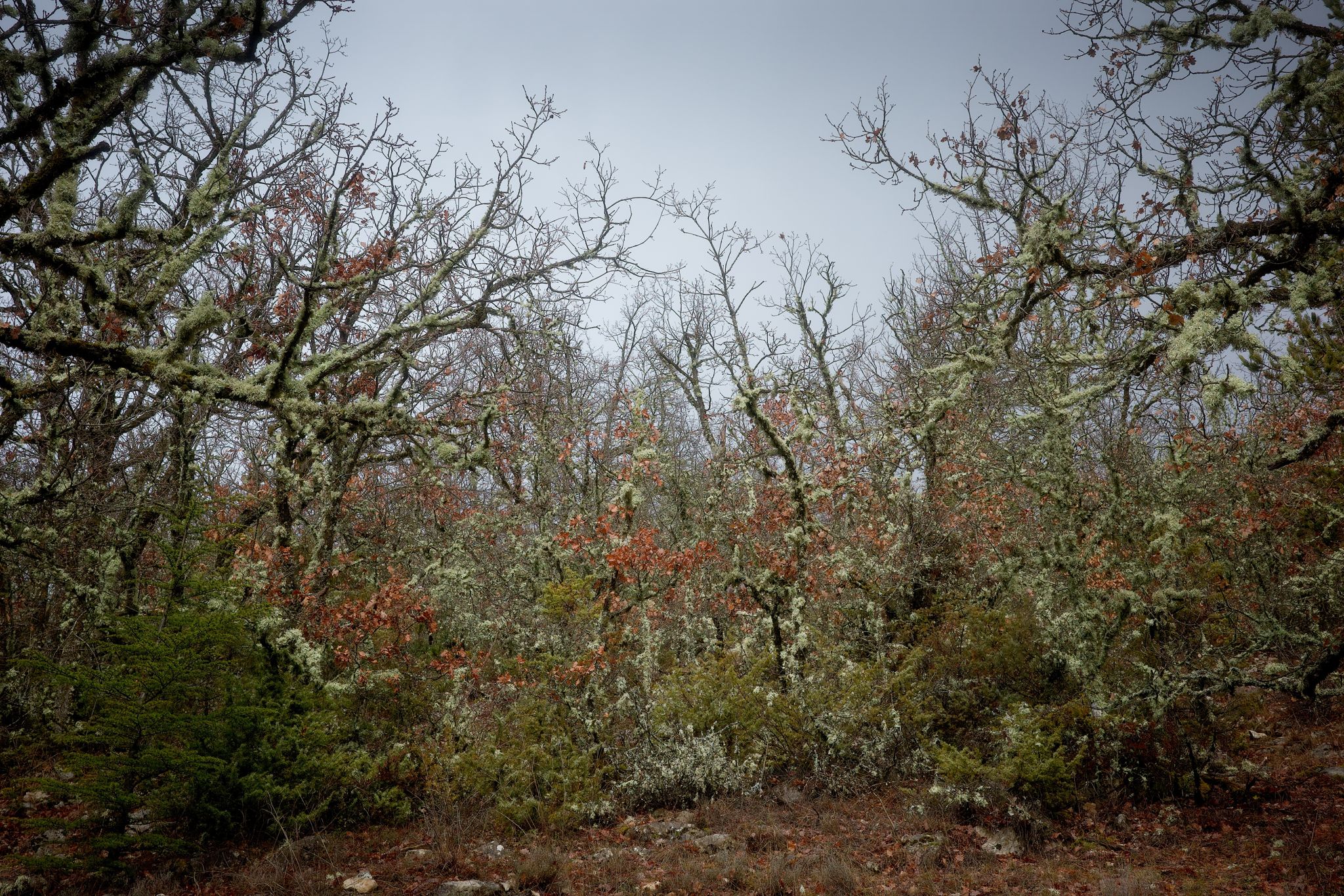 Full size image for Montbrun-les-Bains