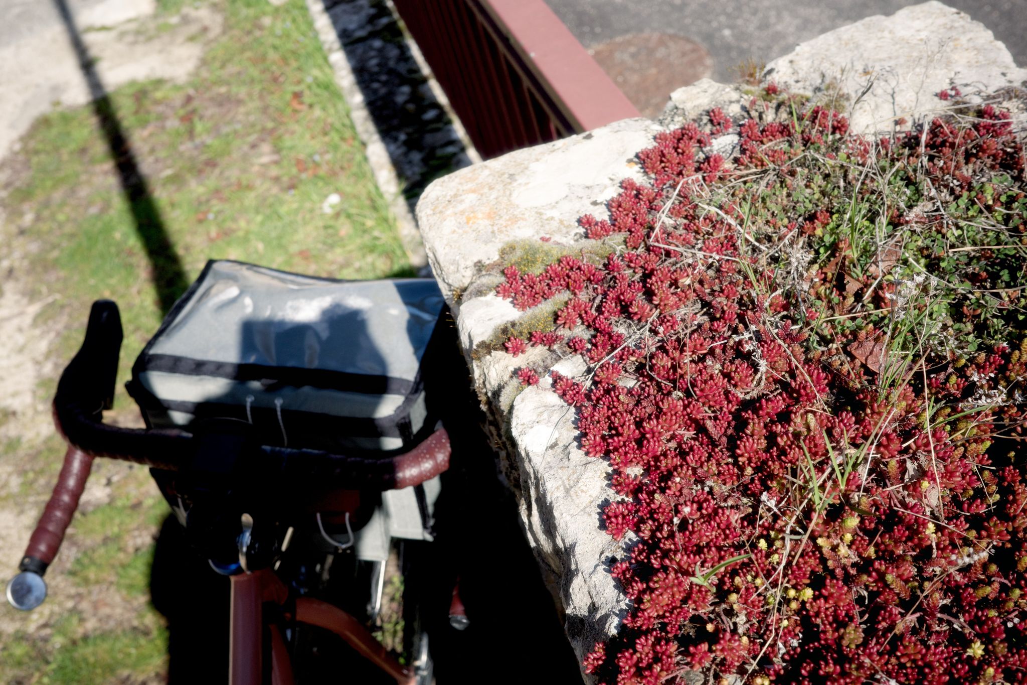 Full size image for D1 and Sun.