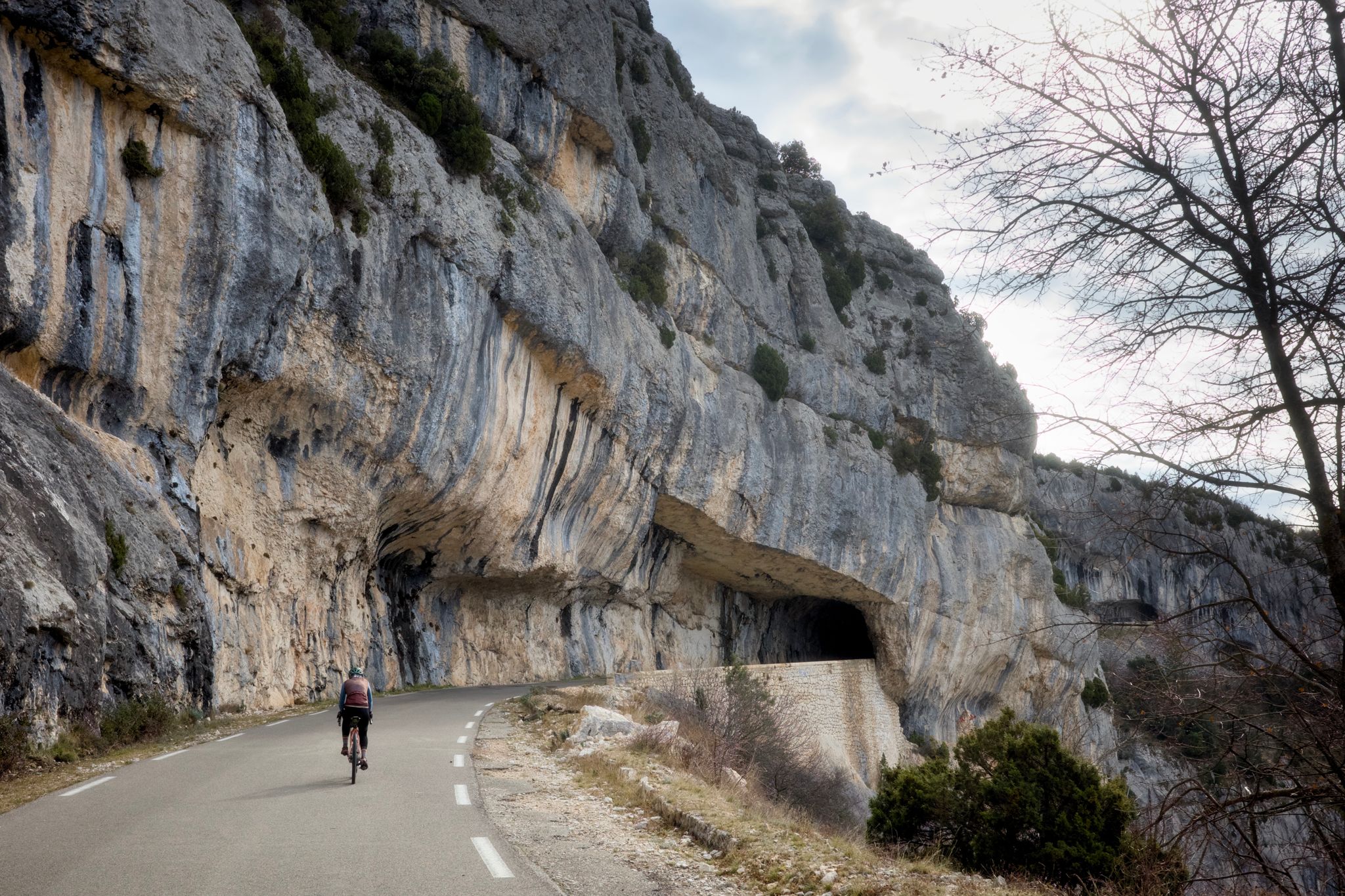 Preview image for Mistletoe, Lavender