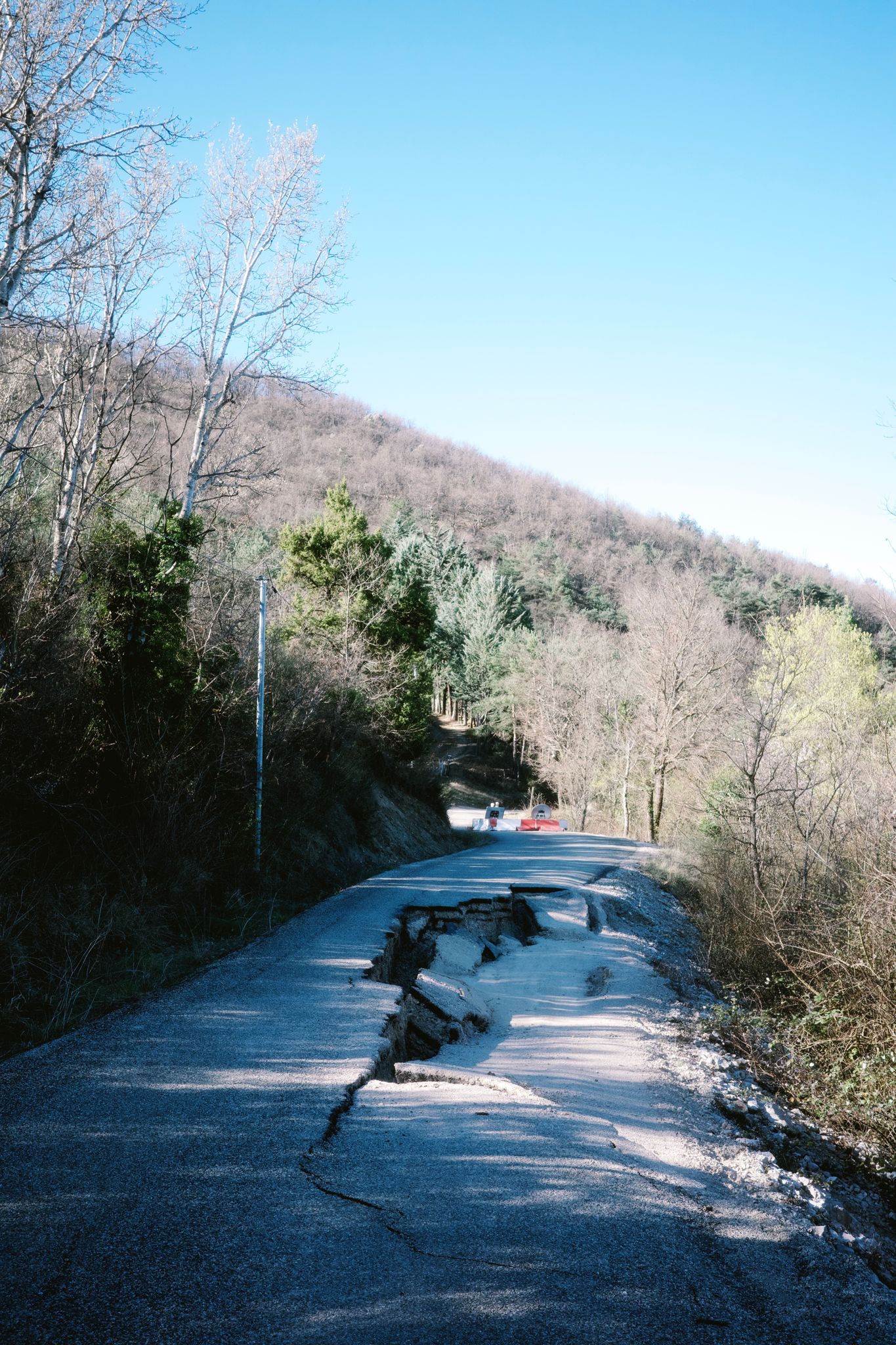 Preview image for Race the wind north