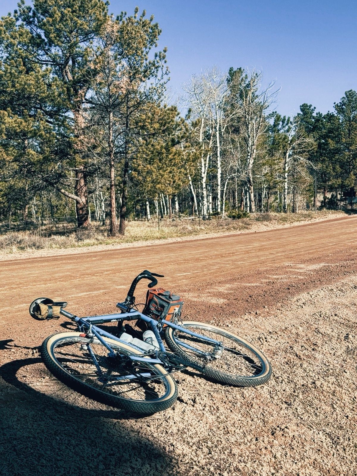 Full size image for The Flèche Velocio.