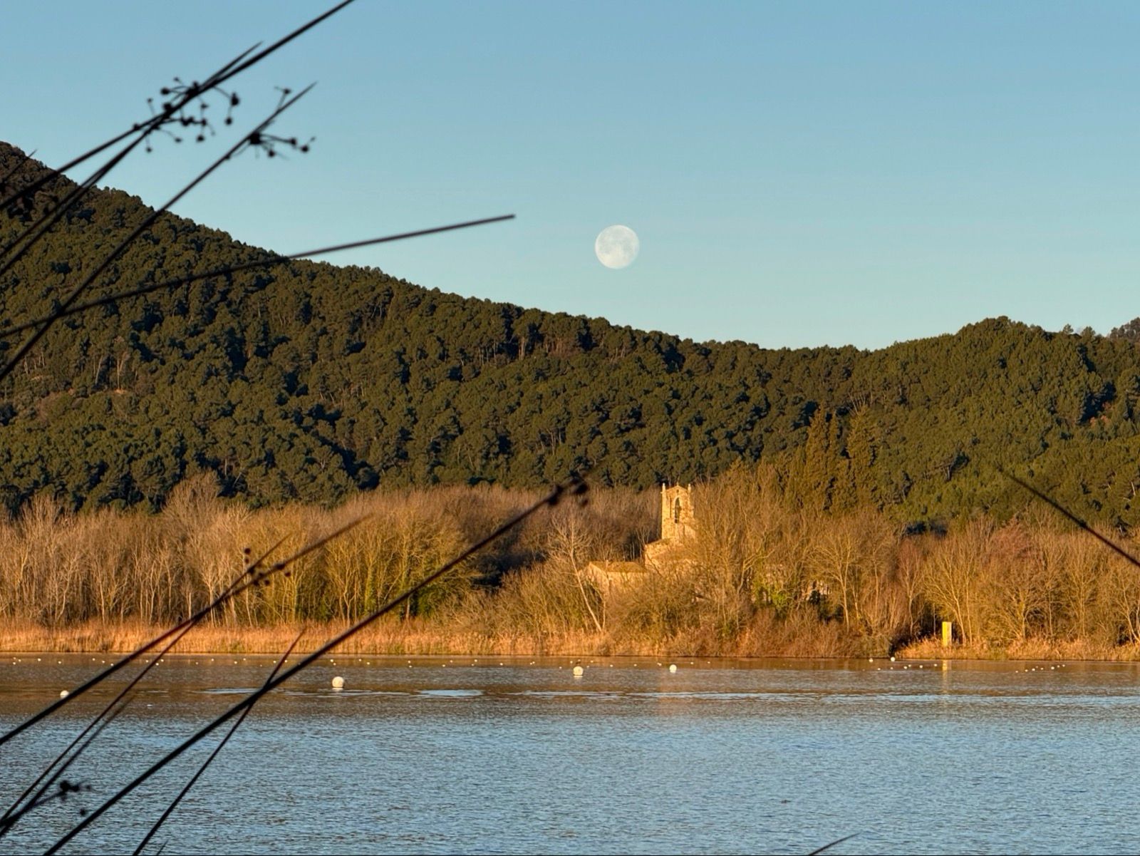 Preview image for El Mont.