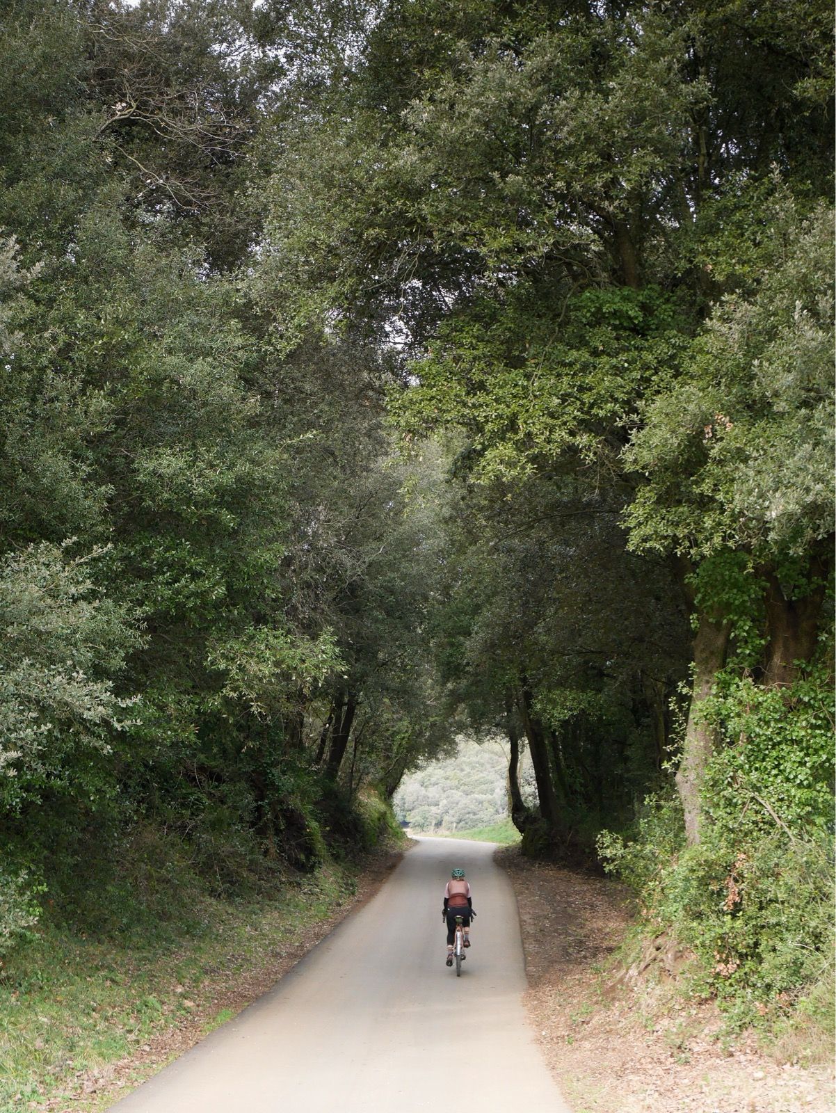 Preview image for Volcanos