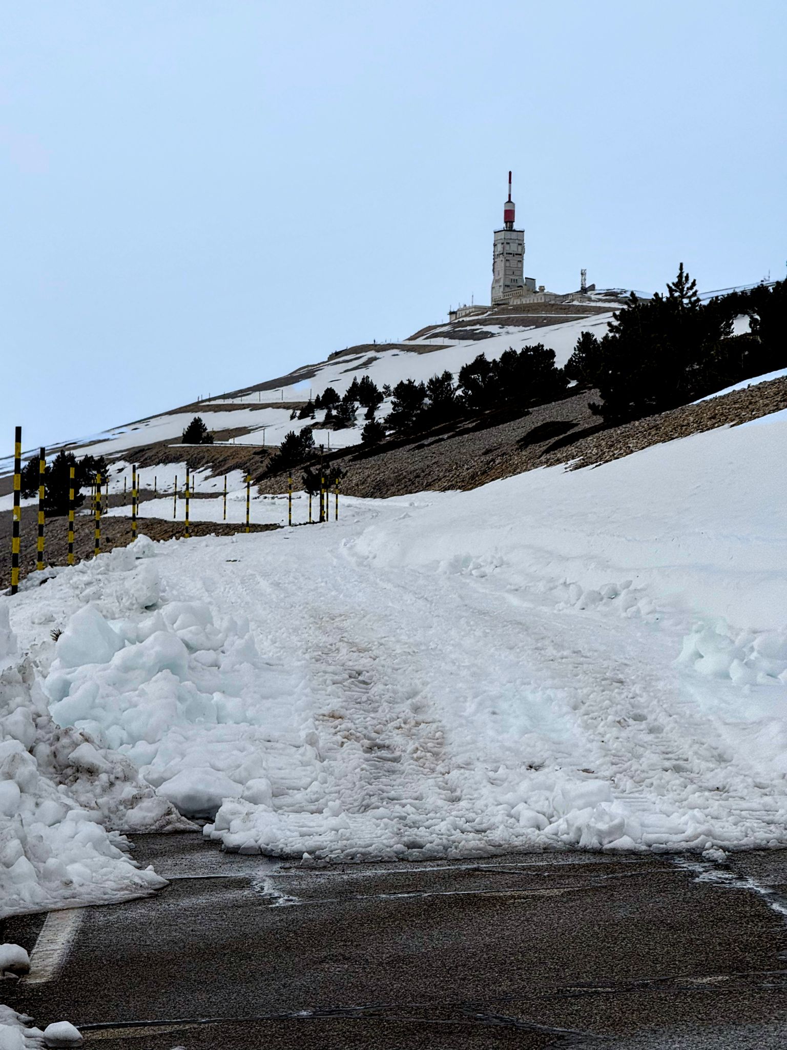 Preview image for Not today geant.